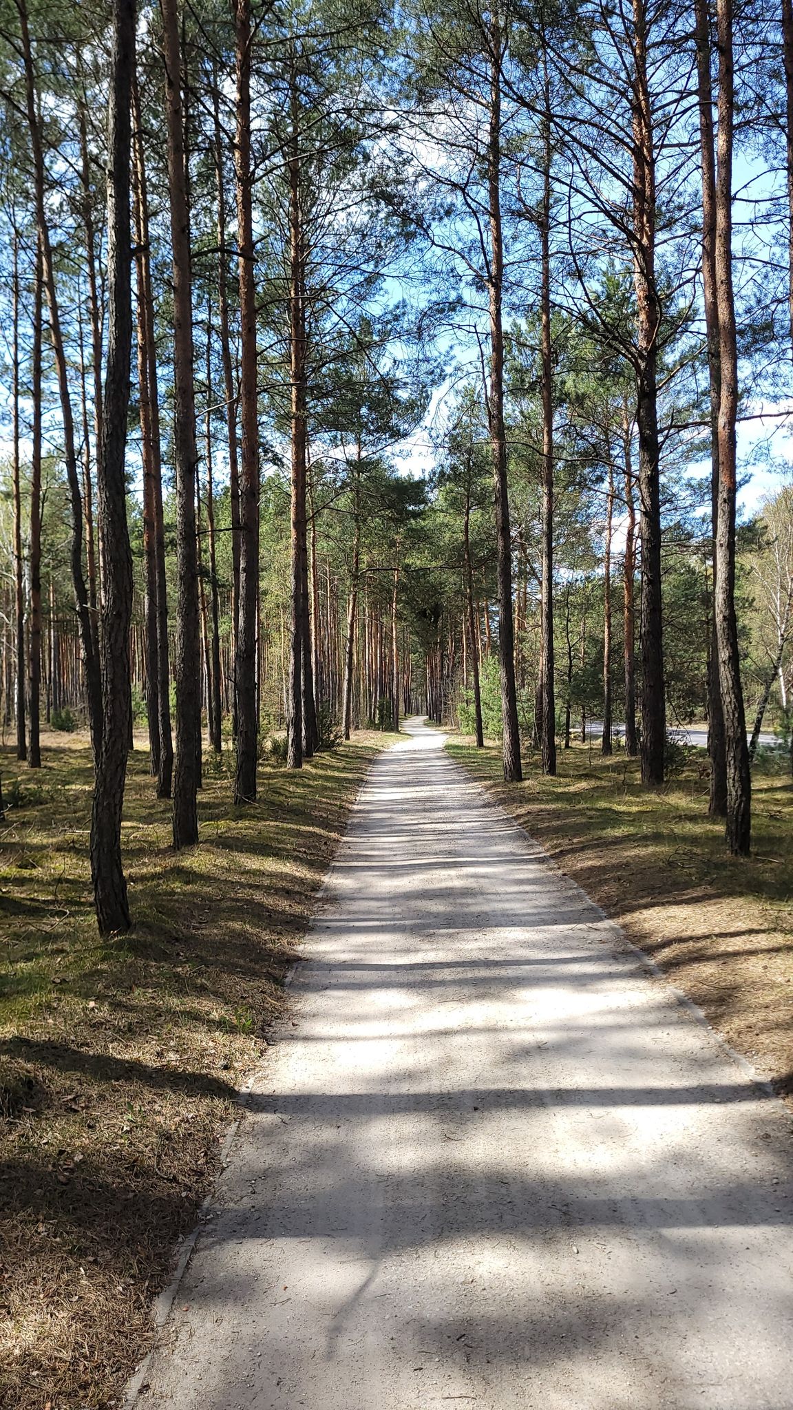 Świetna szutrowa ścieżka rowerowa Złotoria - Osiek.