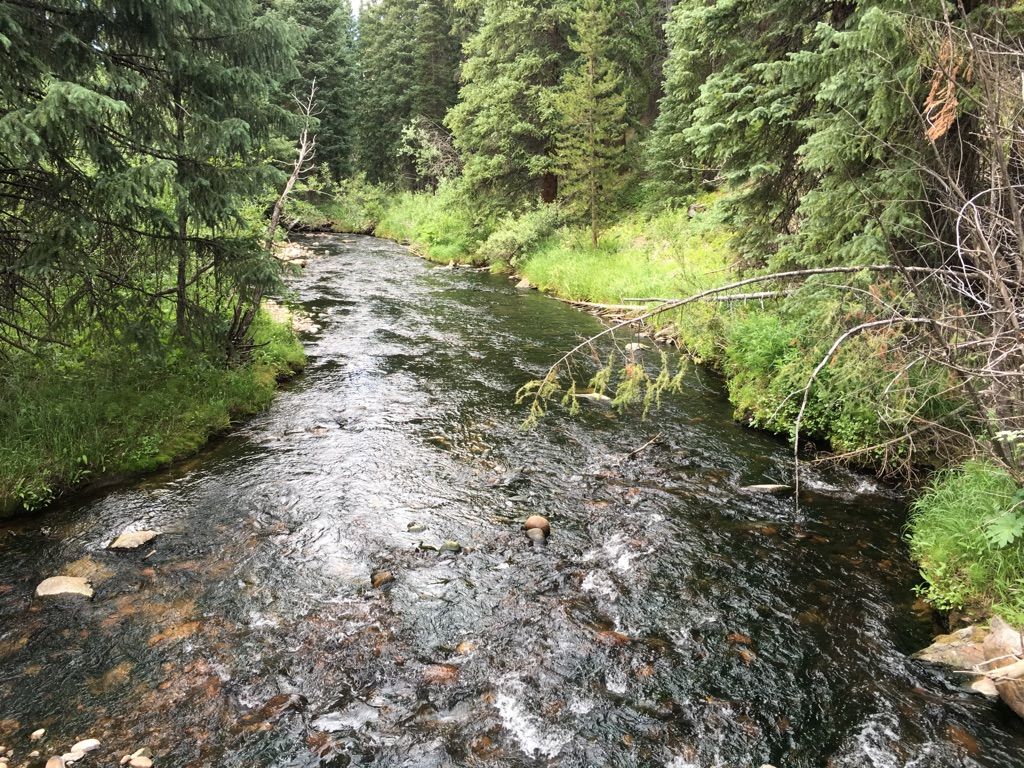 Dark river flowing through a lush evergreen forest on a cloudy day. - Berthoud Pass – Fraser River Trail loop from Winter Park