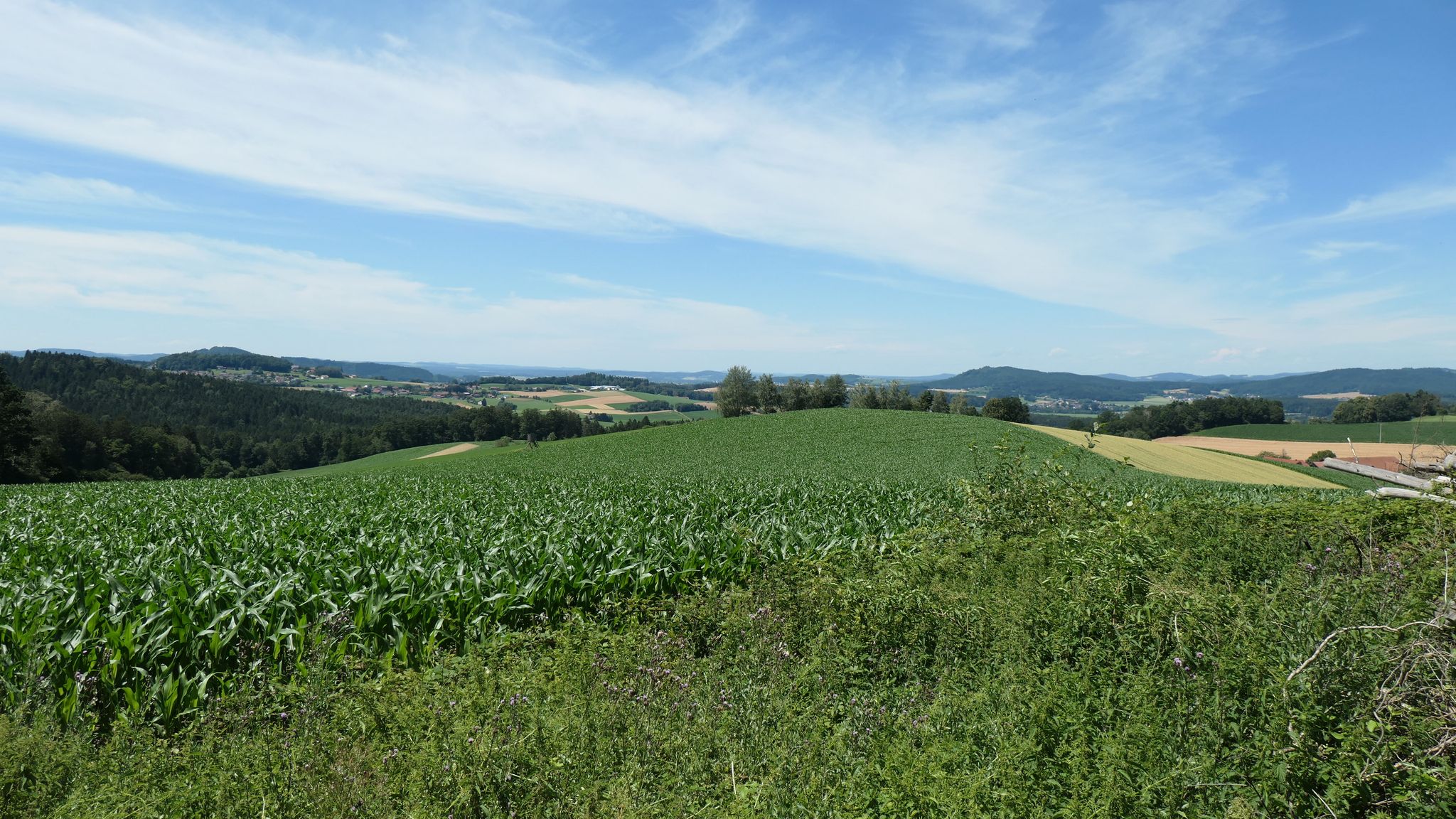 Aussicht bei Steinach