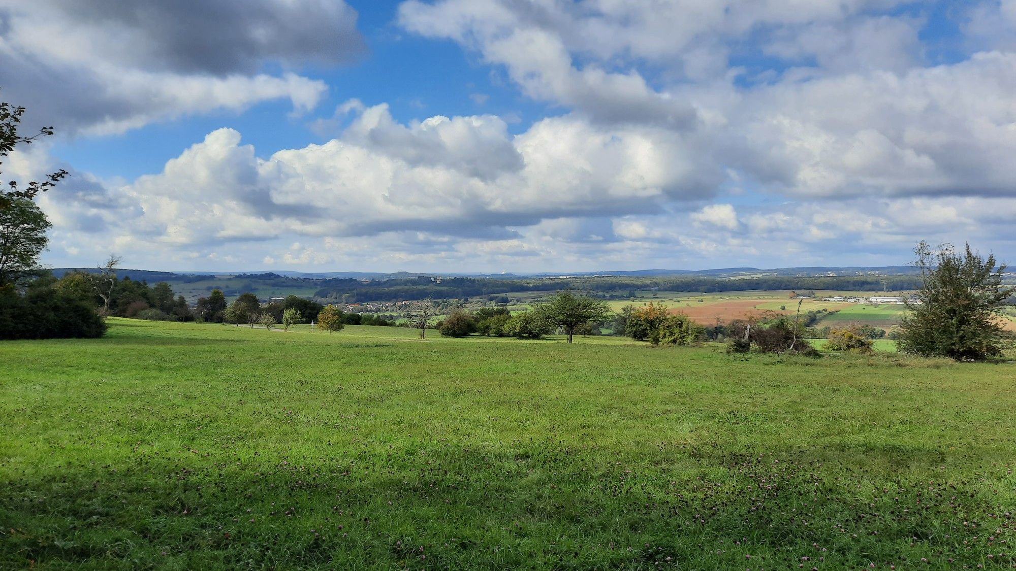 Mandelbachtal