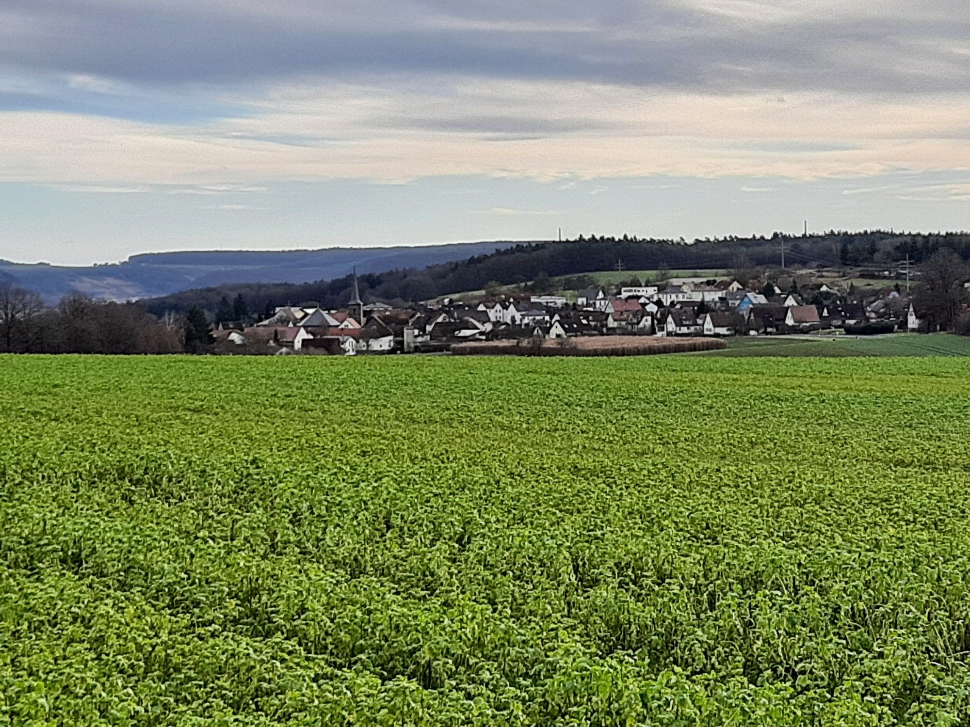 Wittershausen