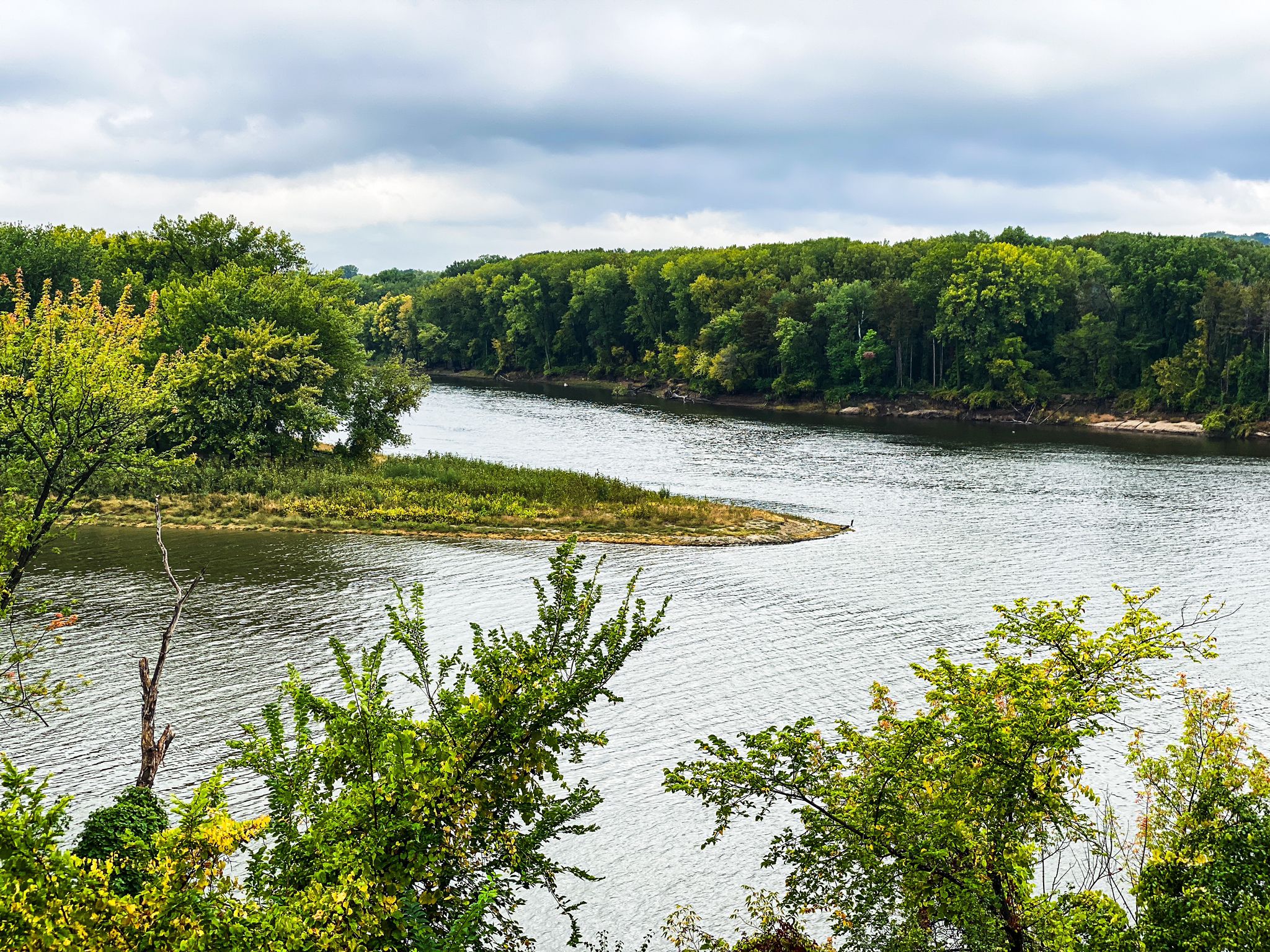 Wide river with a small island, surrounded by lush green trees. - New York Life Eagle Statue – Fort Snelling Scenic Overlook loop from Westgate