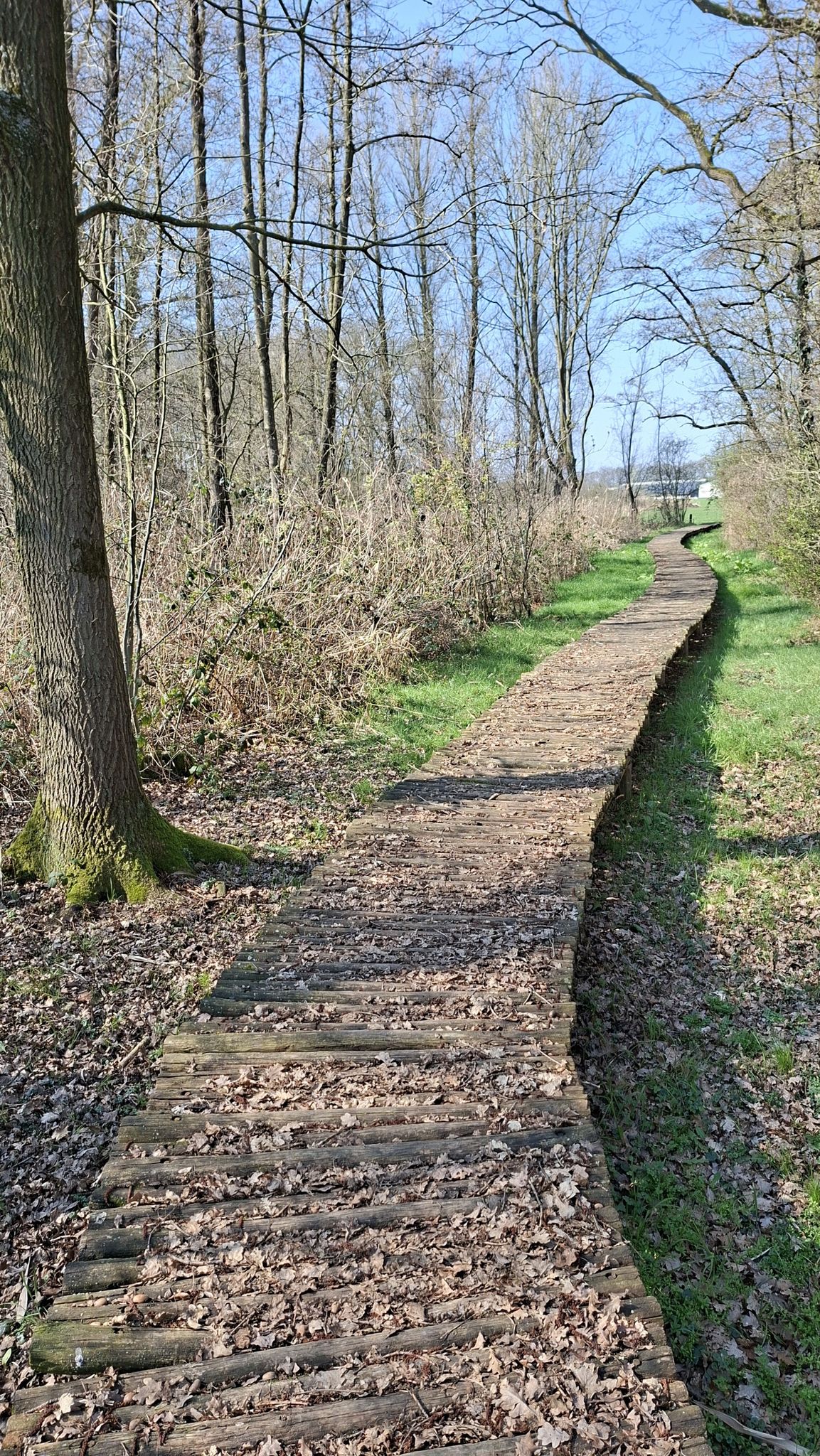 natuurpad