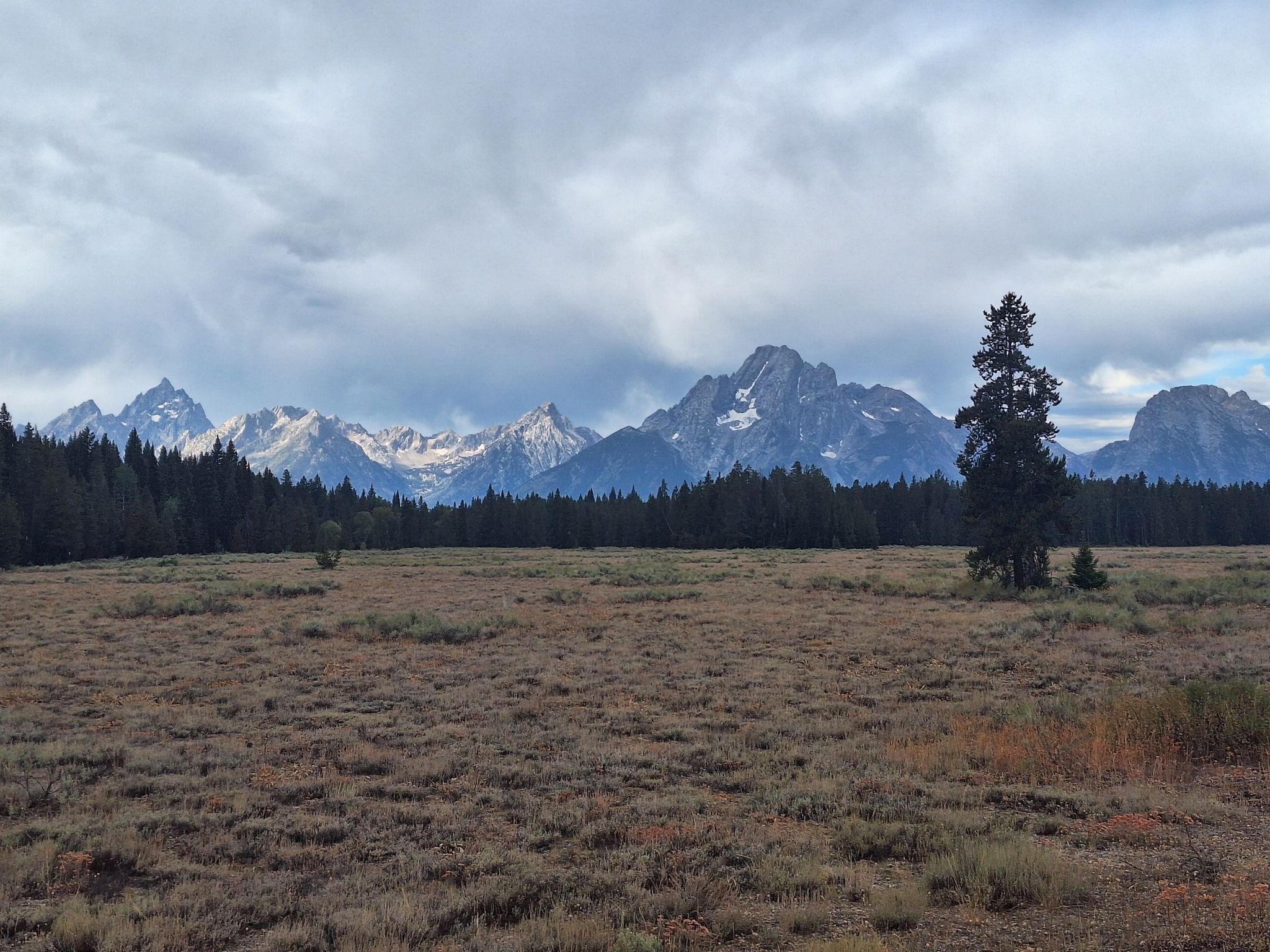 Wide brown field, dark forest, and rugged snow-capped mountains under cloudy sky. - Colter Bay Village – Jackson Lake Dam loop from Teton