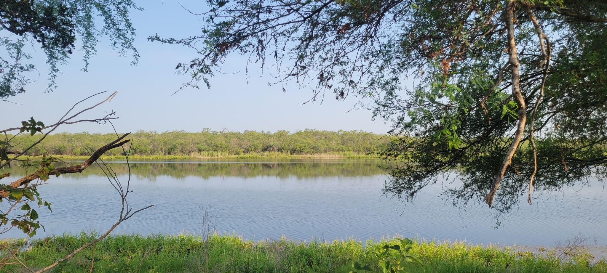 Calm water reflecting distant trees, framed by green foliage. - Medina River Greenway and Mission Reach Loop