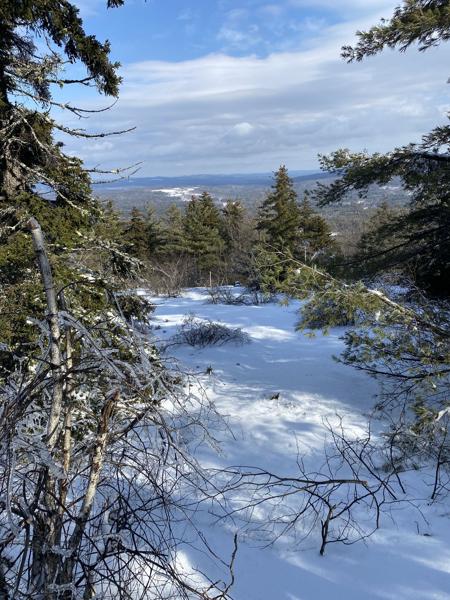 Snowy forest clearing with distant hills visible through trees under a bright sky. - North Pack Monadnock and Cliff Trail via Wapack Trail