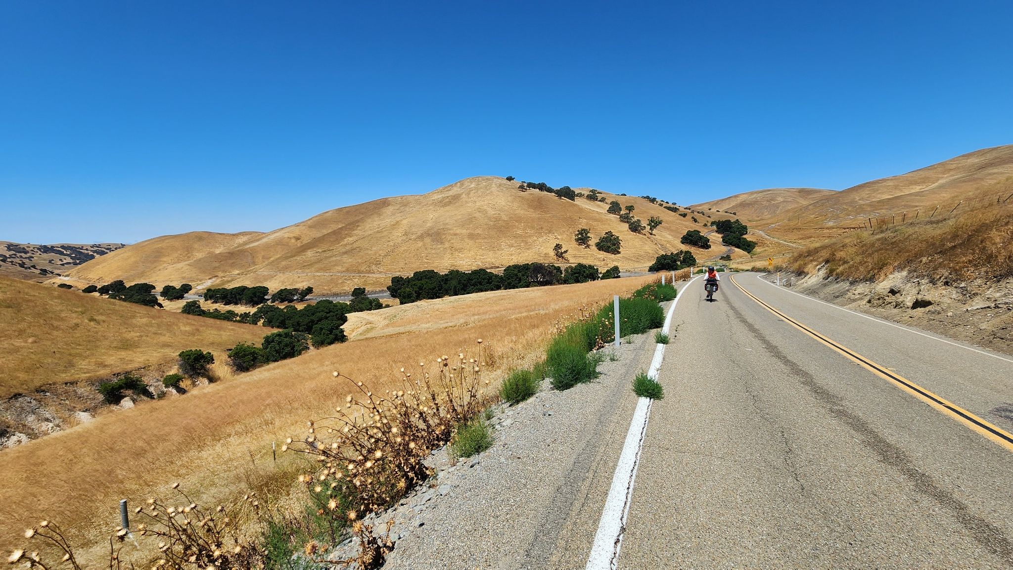 Cyclist on a road through golden hills under a clear blue sky. - Corral Hollow Pass – Patterson Pass loop from Vasco Road