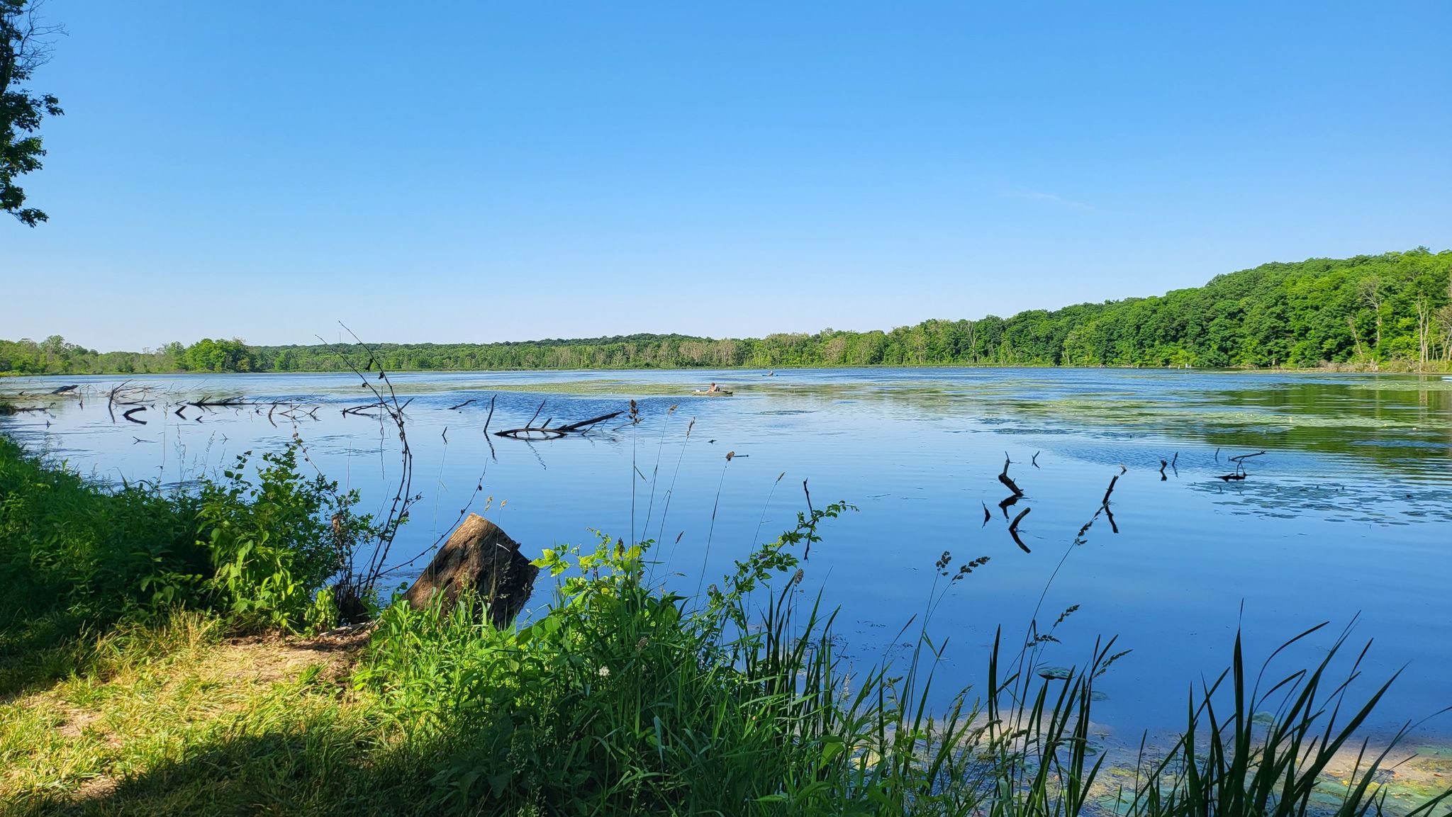 Calm lake with submerged branches, green banks, and distant forest under clear sky. - Little Miami Scenic Trail: Roxanna to Caesar Creek Gorge