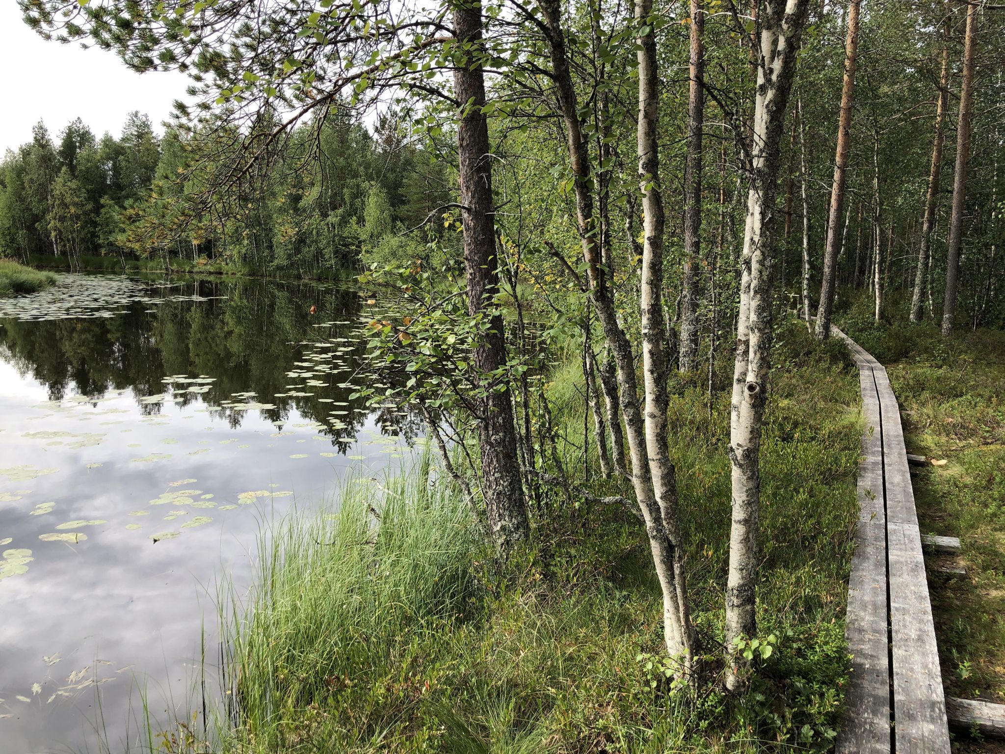 Tyräjoki
