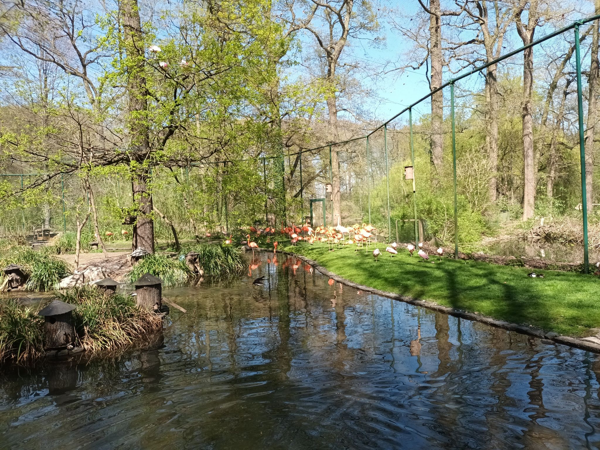 Flamingo-Lagune