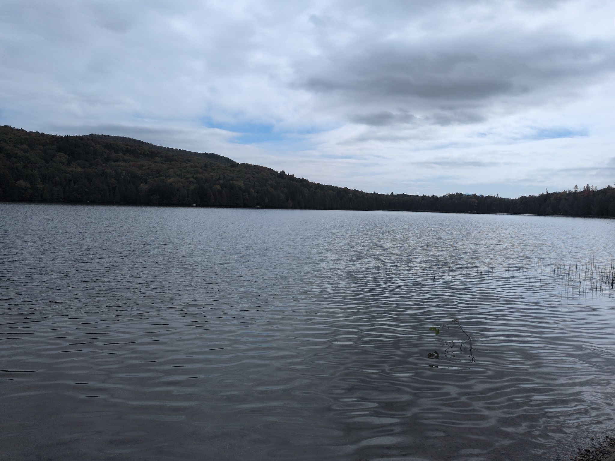 Center Pond 