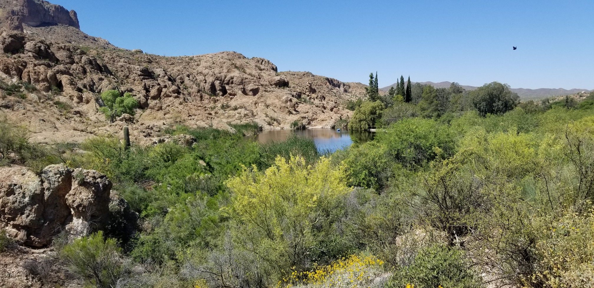 A serene lake nestled among green trees and rocky desert mountains under a clear sky. - Main Trail