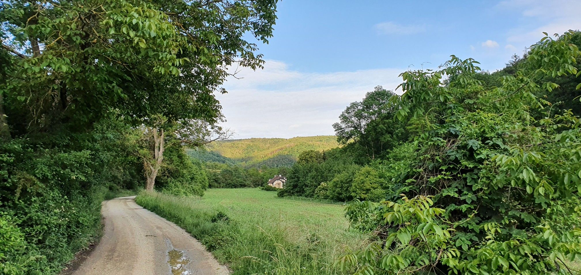 Stiefernbachtal