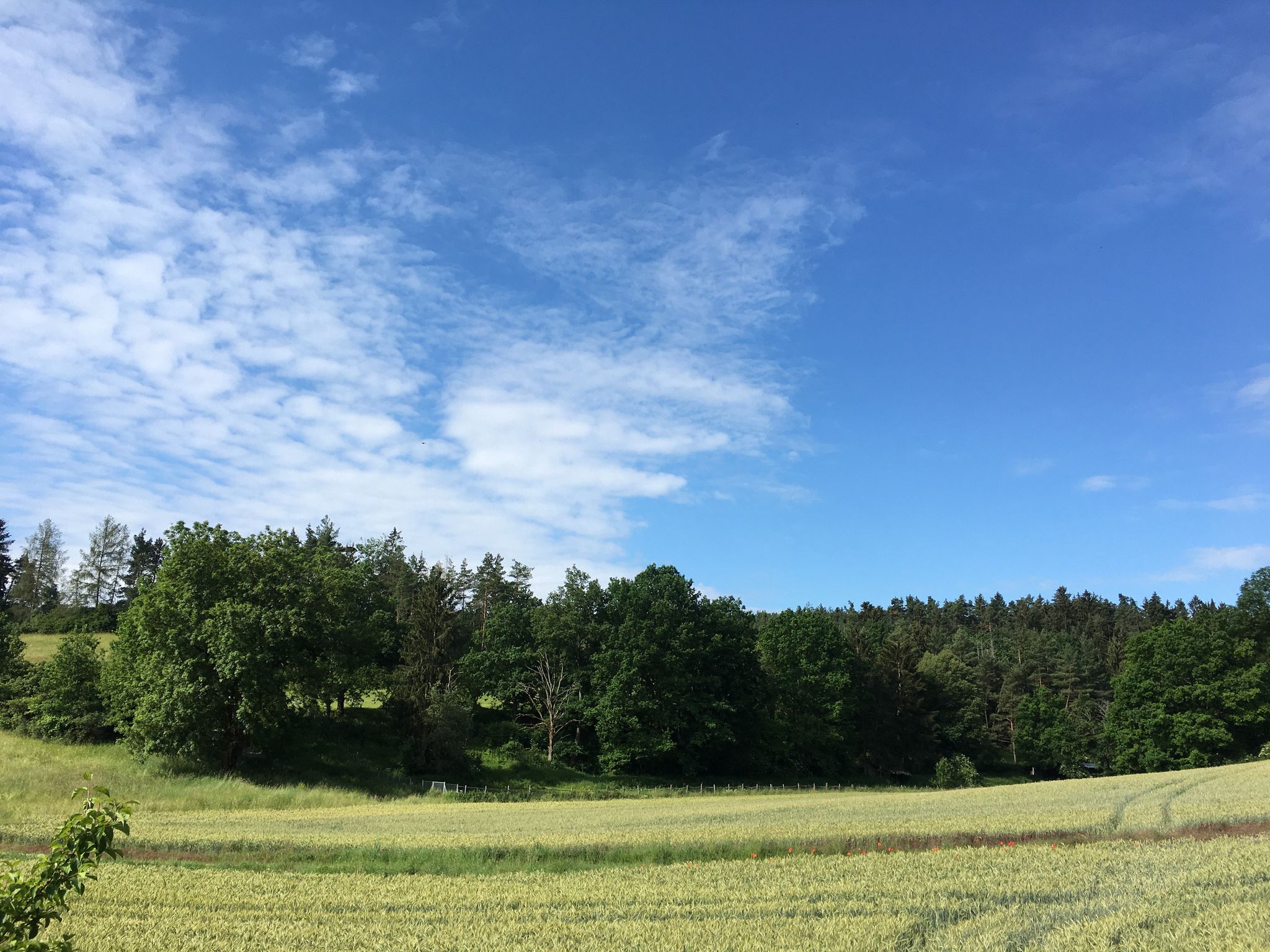 Unterwegs