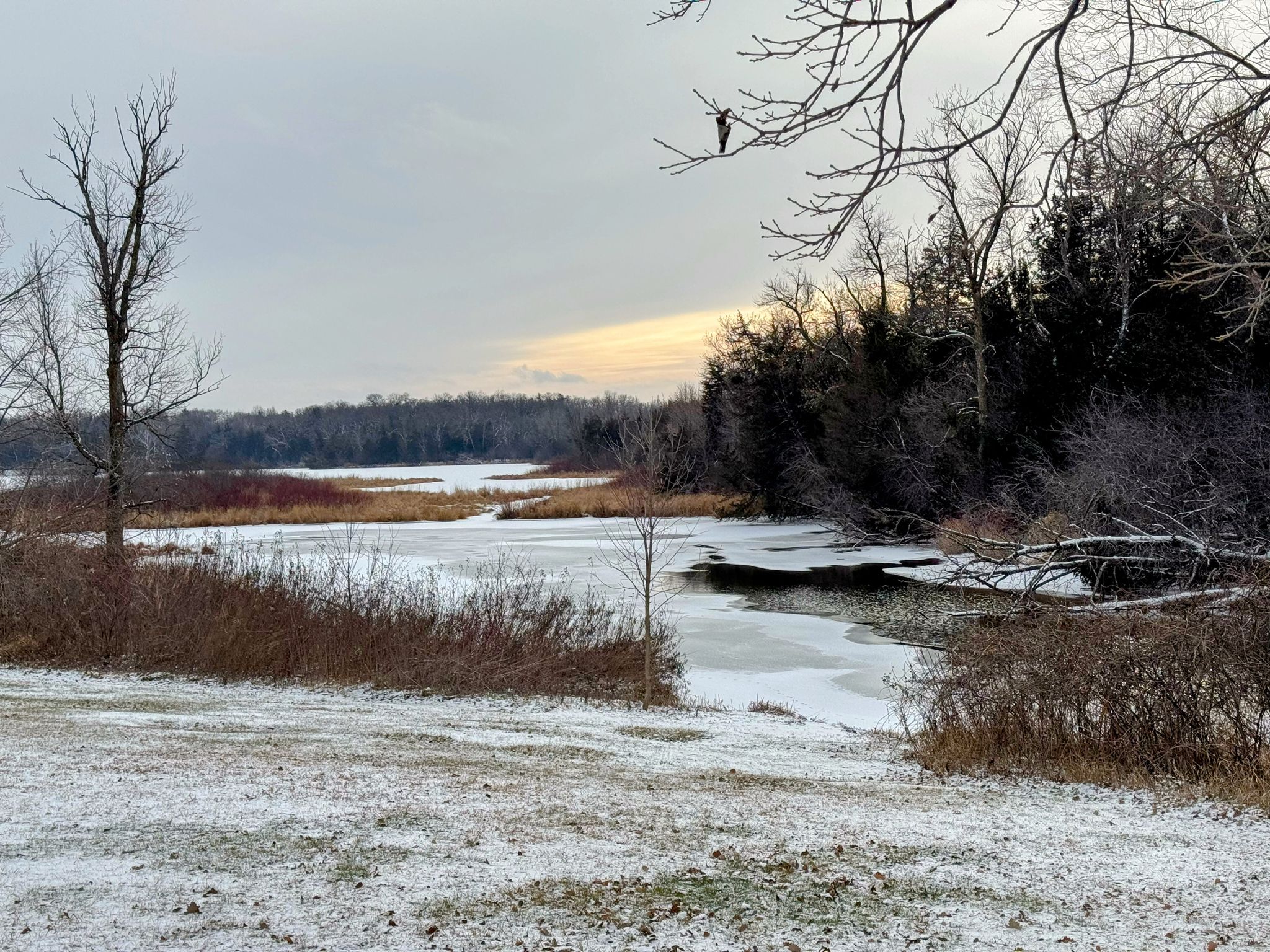 Snowy landscape with a partially frozen lake and bare trees at dusk. - Warner Lake Loop