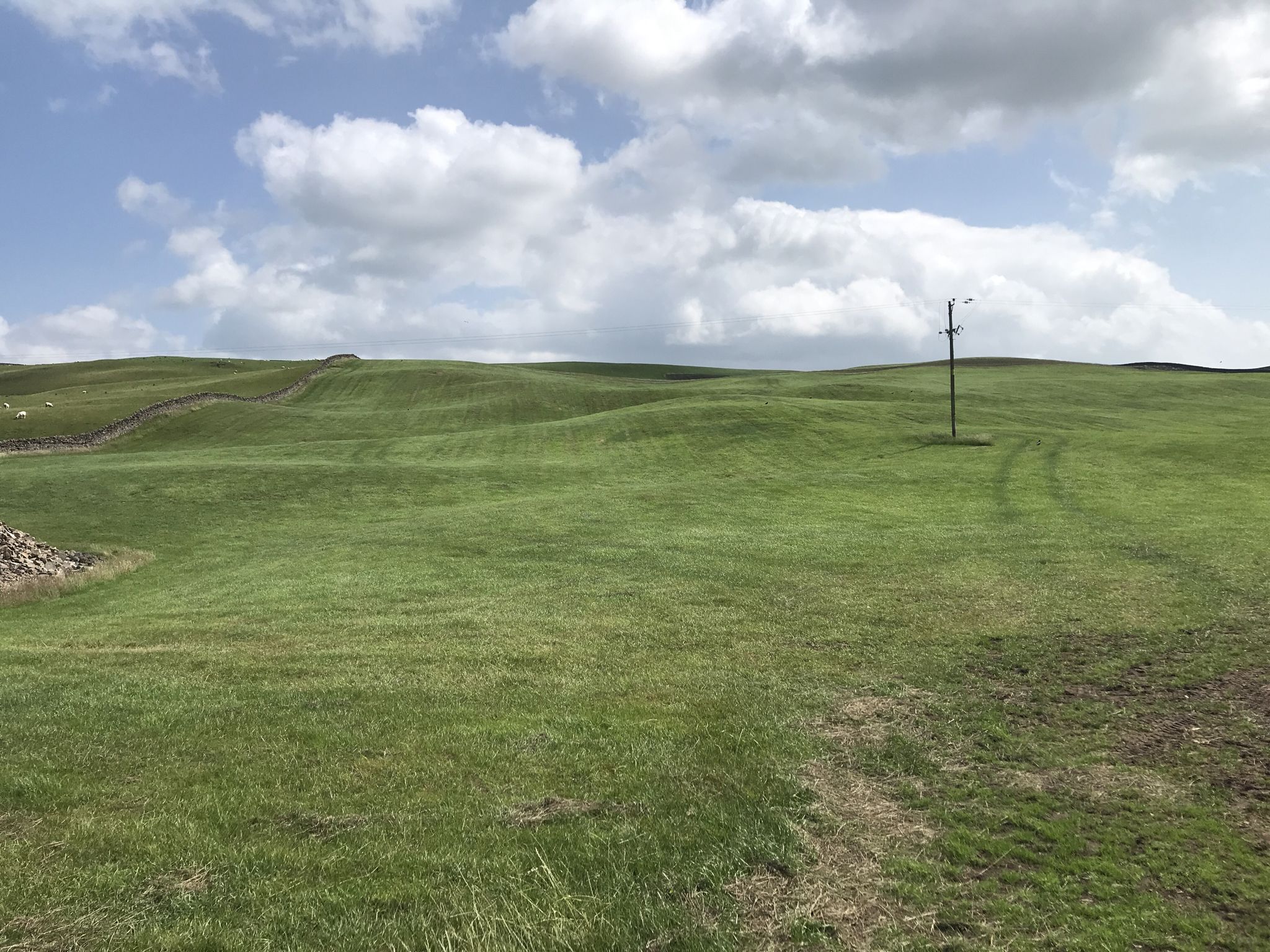 Das ist nur Wiese, kein Golfplatz