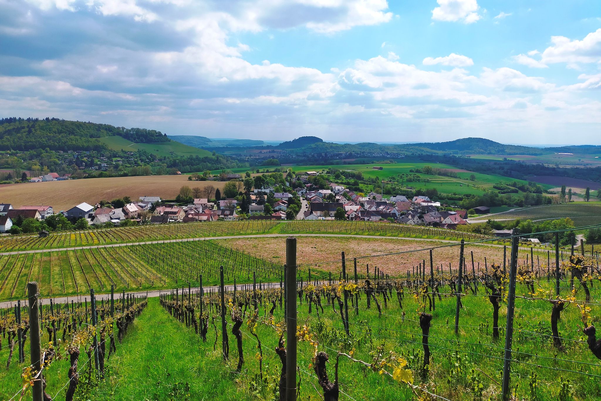 Blick auf den Ort Helfenberg