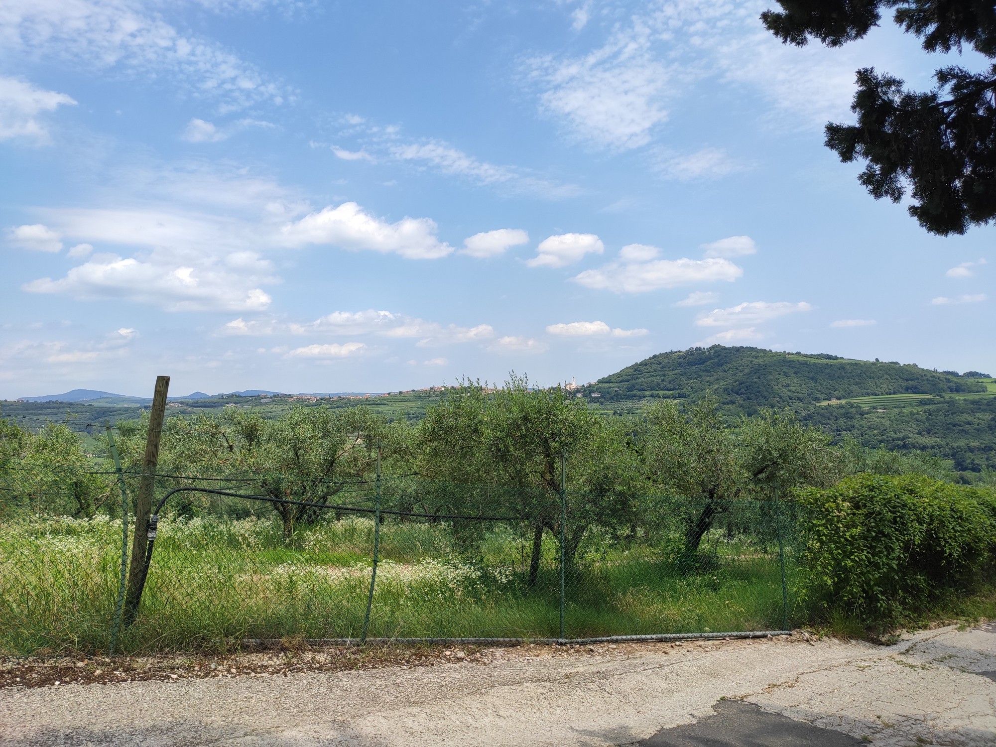 Siamo in vetta