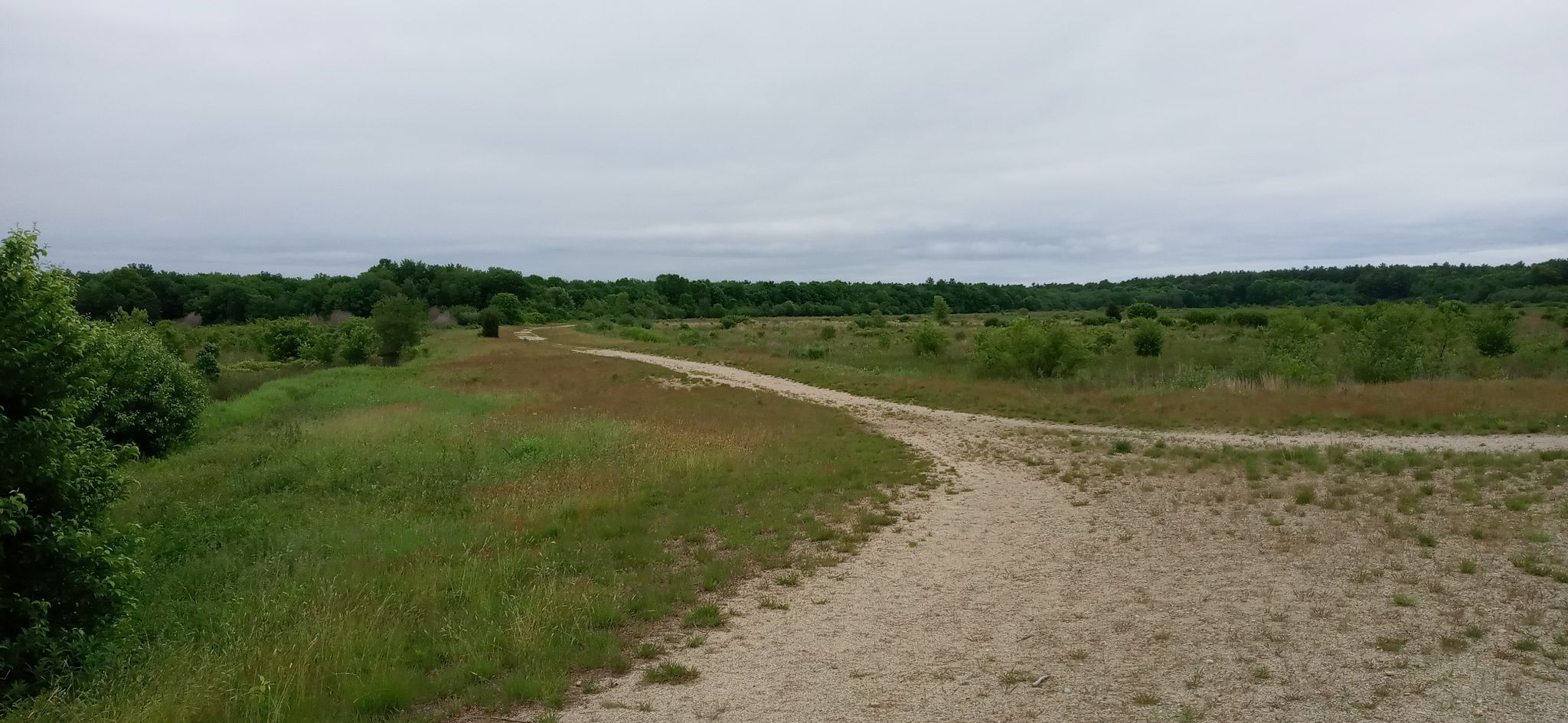 A sandy path forks in a grassy field under an overcast sky. - Upper Reservoir loop from Burrage Pond Wildlife Management Area