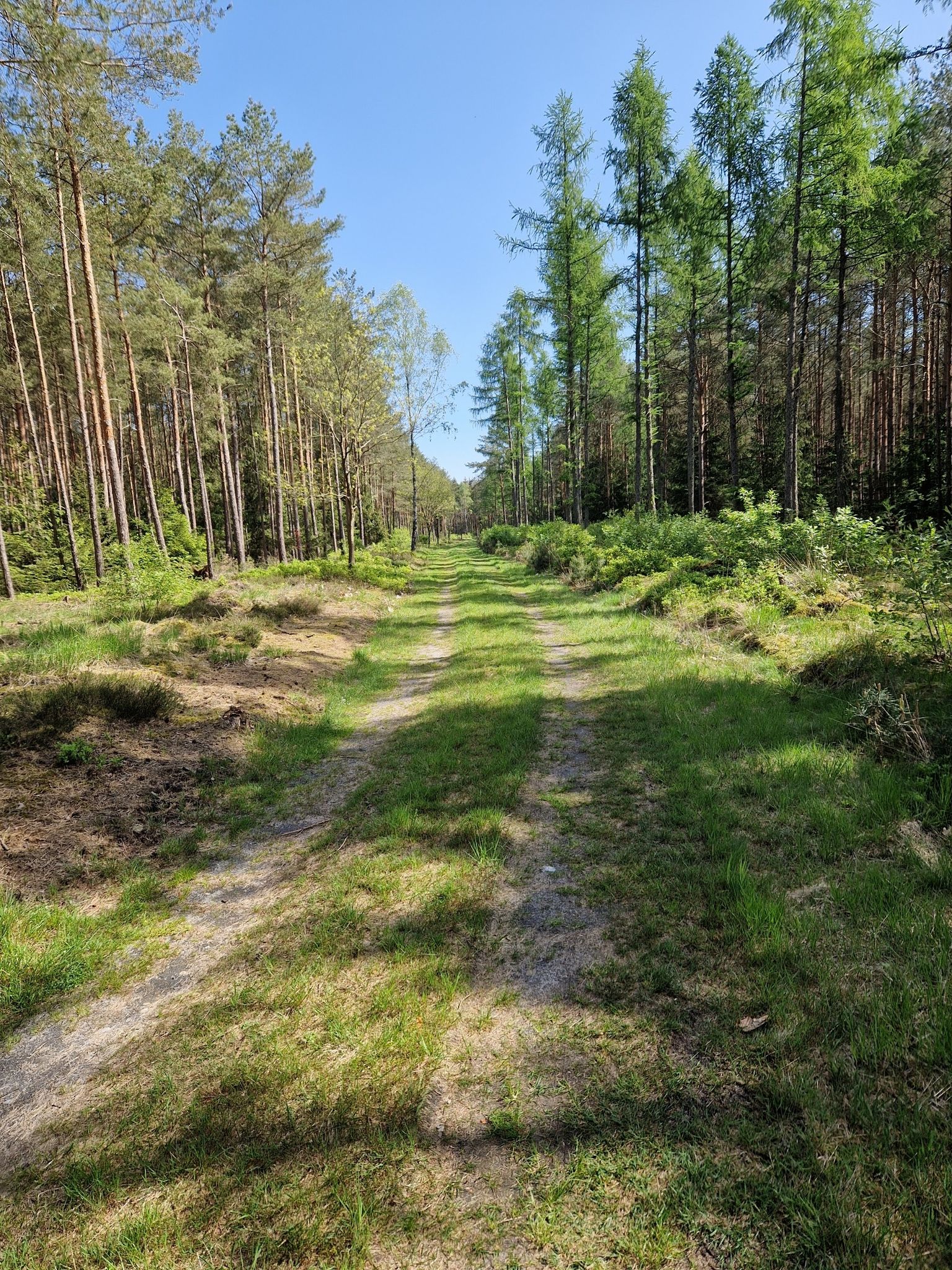 Guter fester Weg