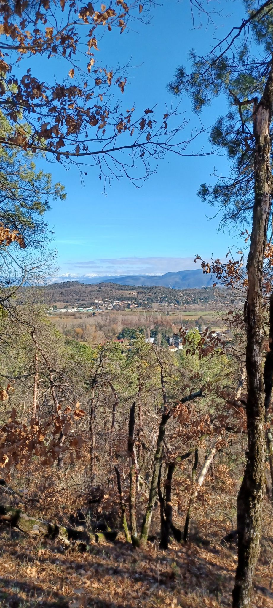 Vue sur Peyrins et Mours