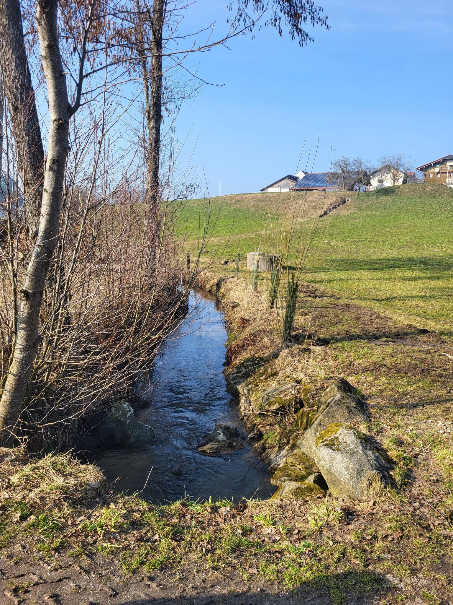 Jetzingerdorfer Bach