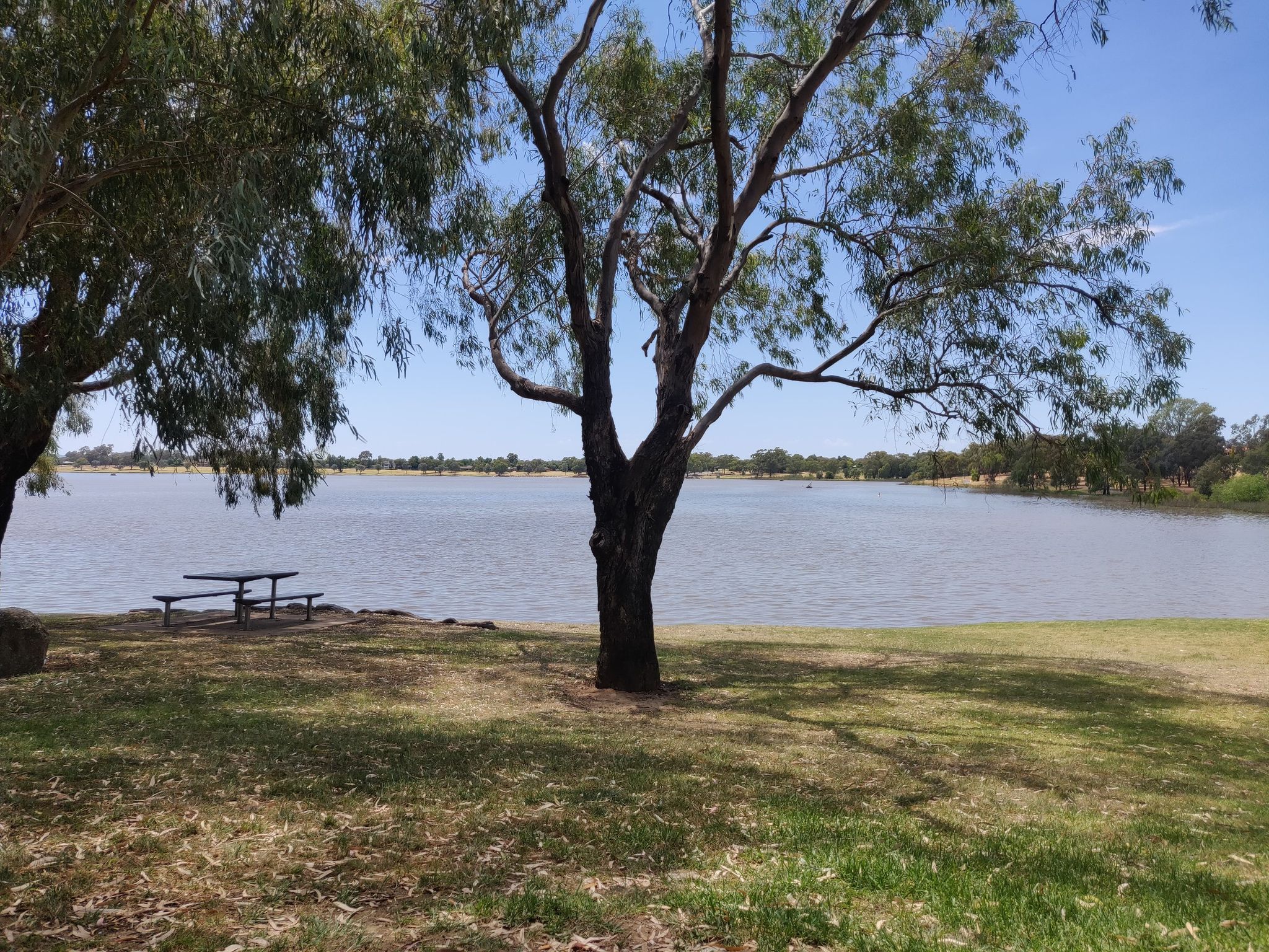Lake Albert