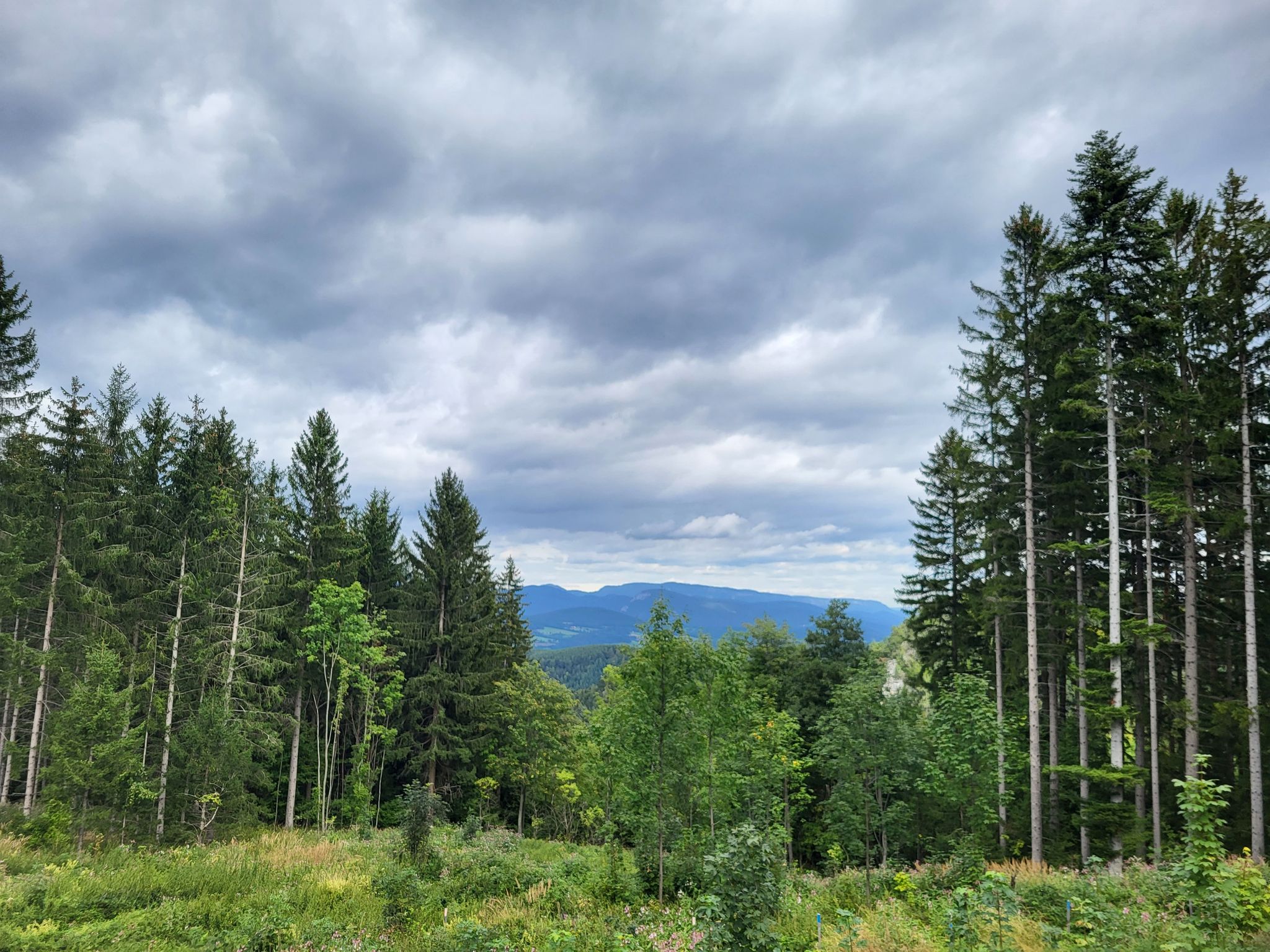 Blick ins Gebirg'