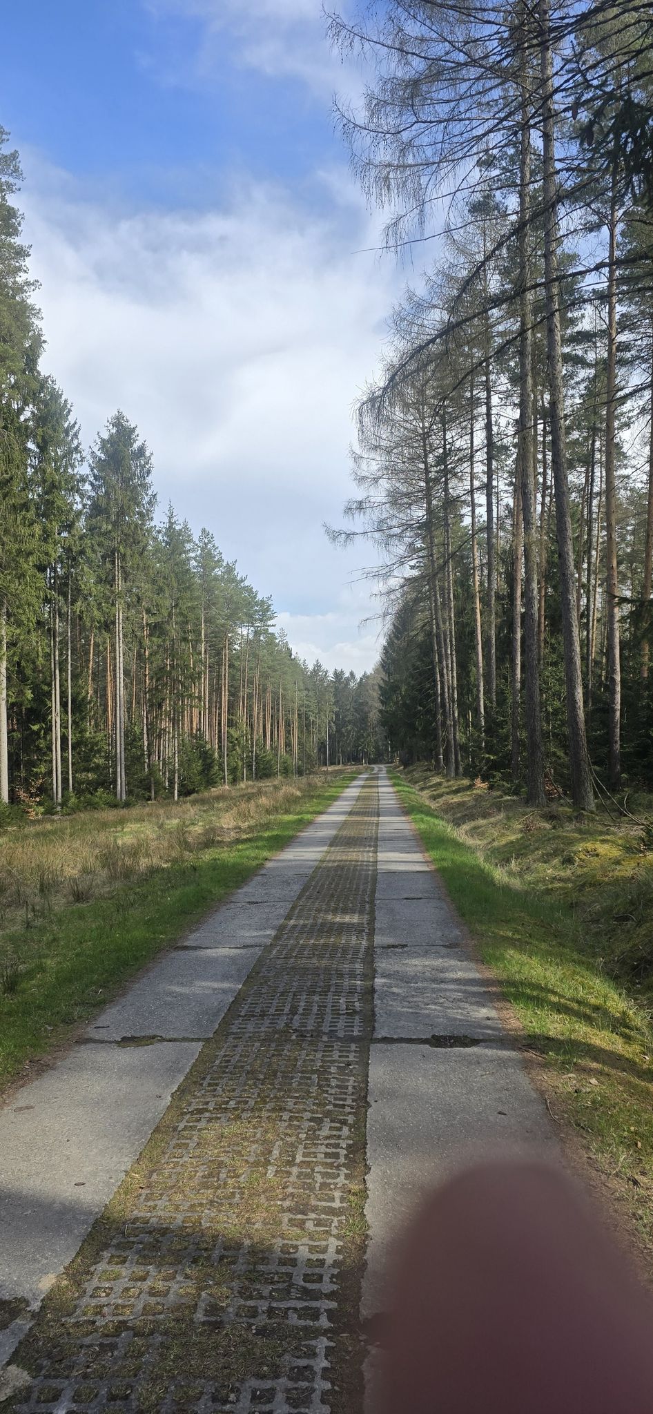 der Plattenweg