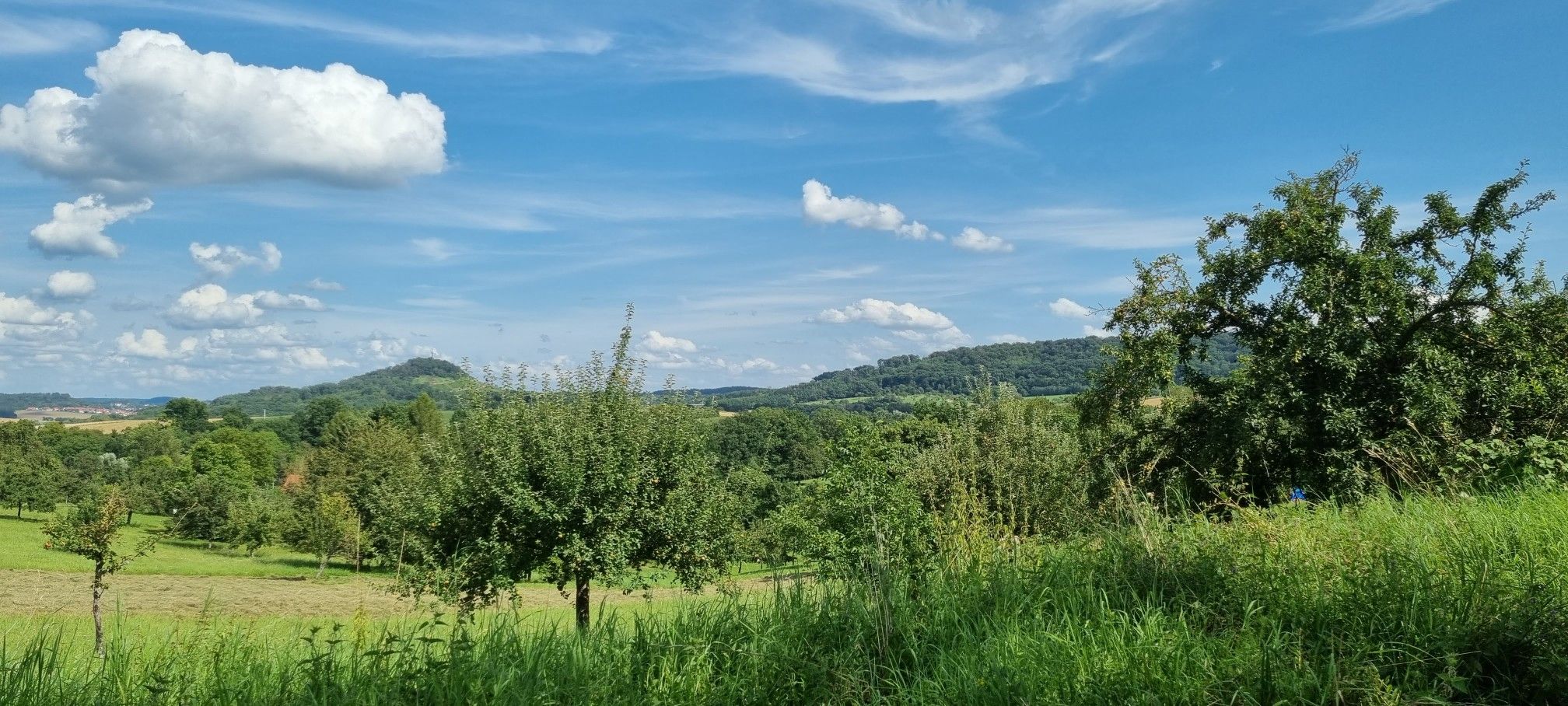 Maulbronn und Elfinger Wald