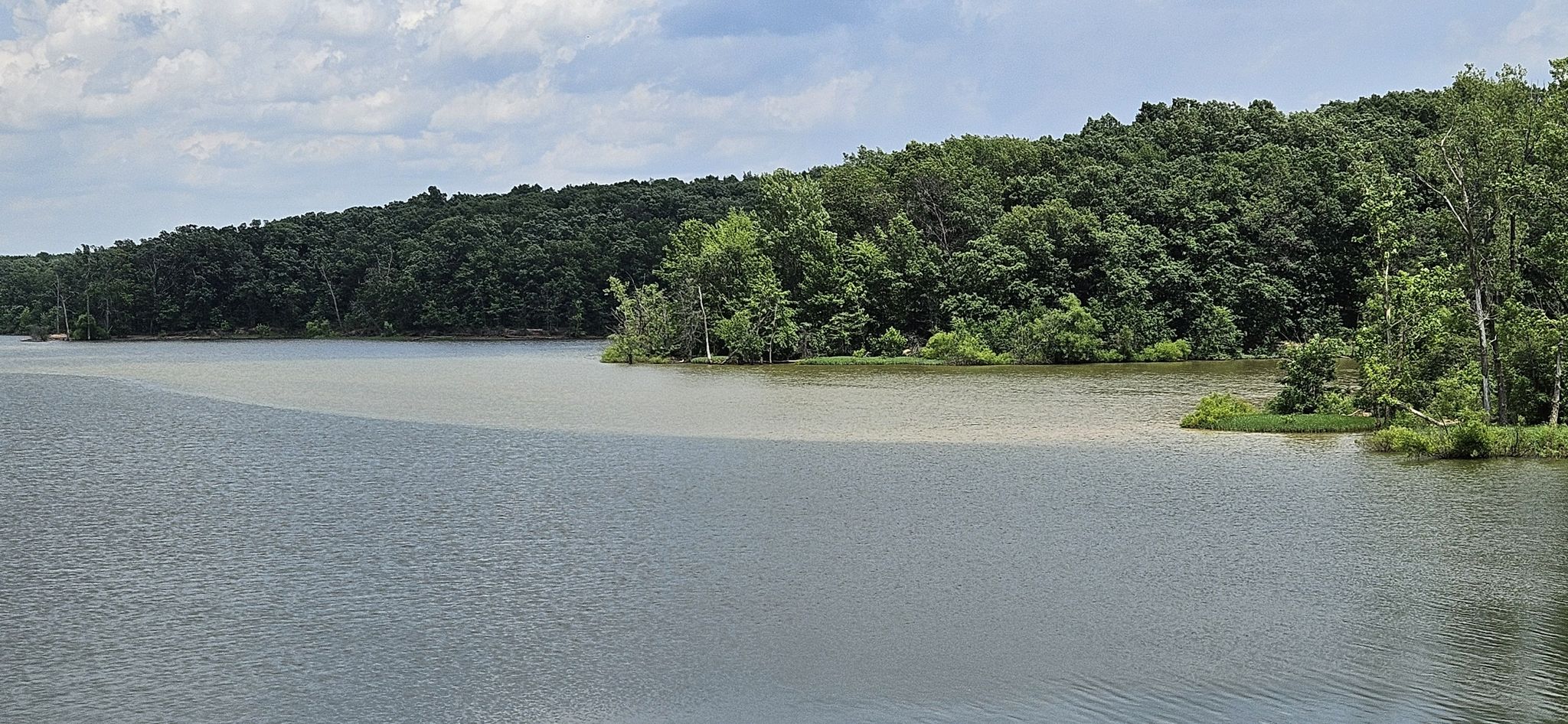 A wide, calm body of water next to a dense green forest. - Hoover Reservoir loop via 21;50 cycleways and Genoa Trail