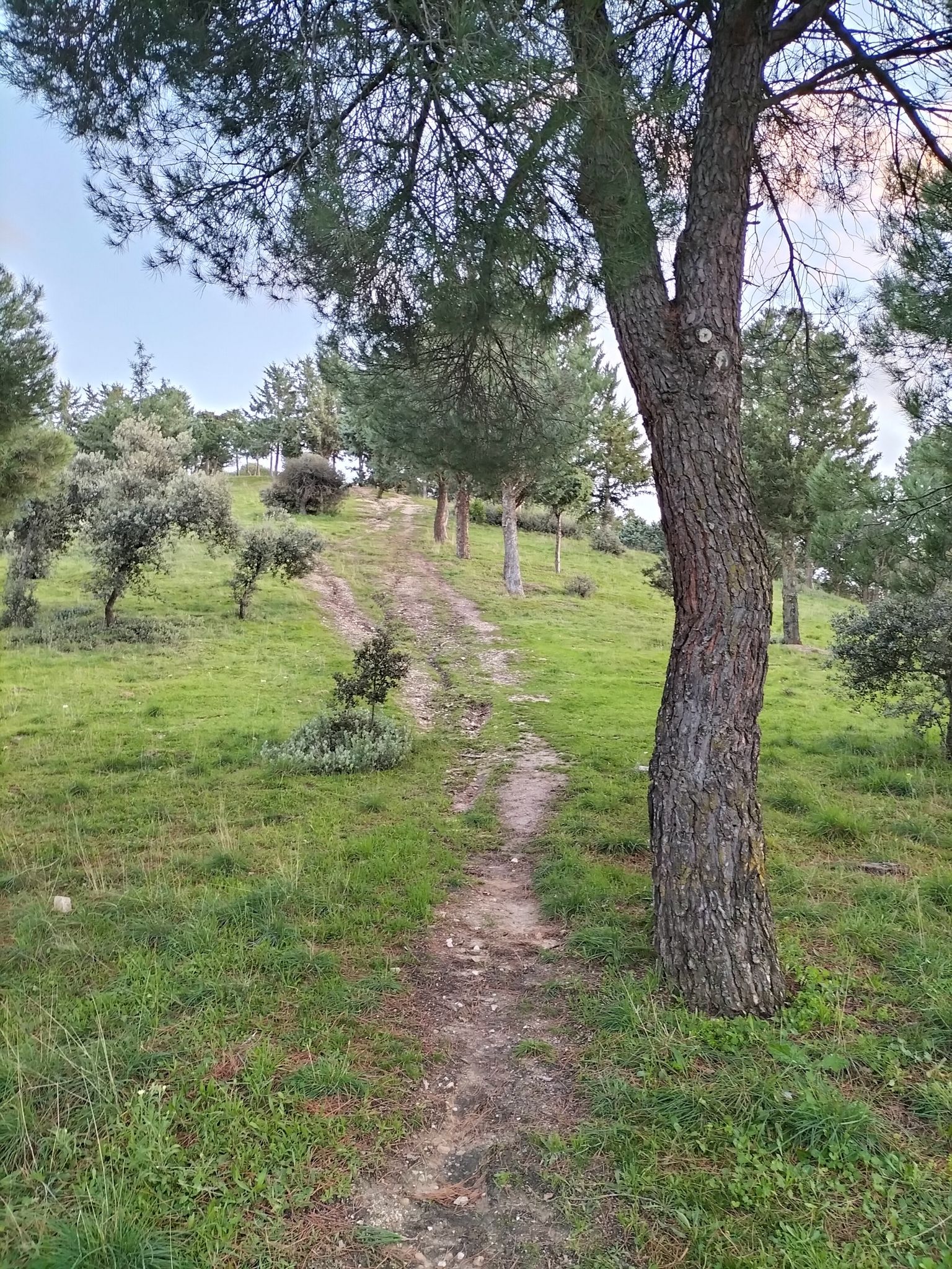 Bajada