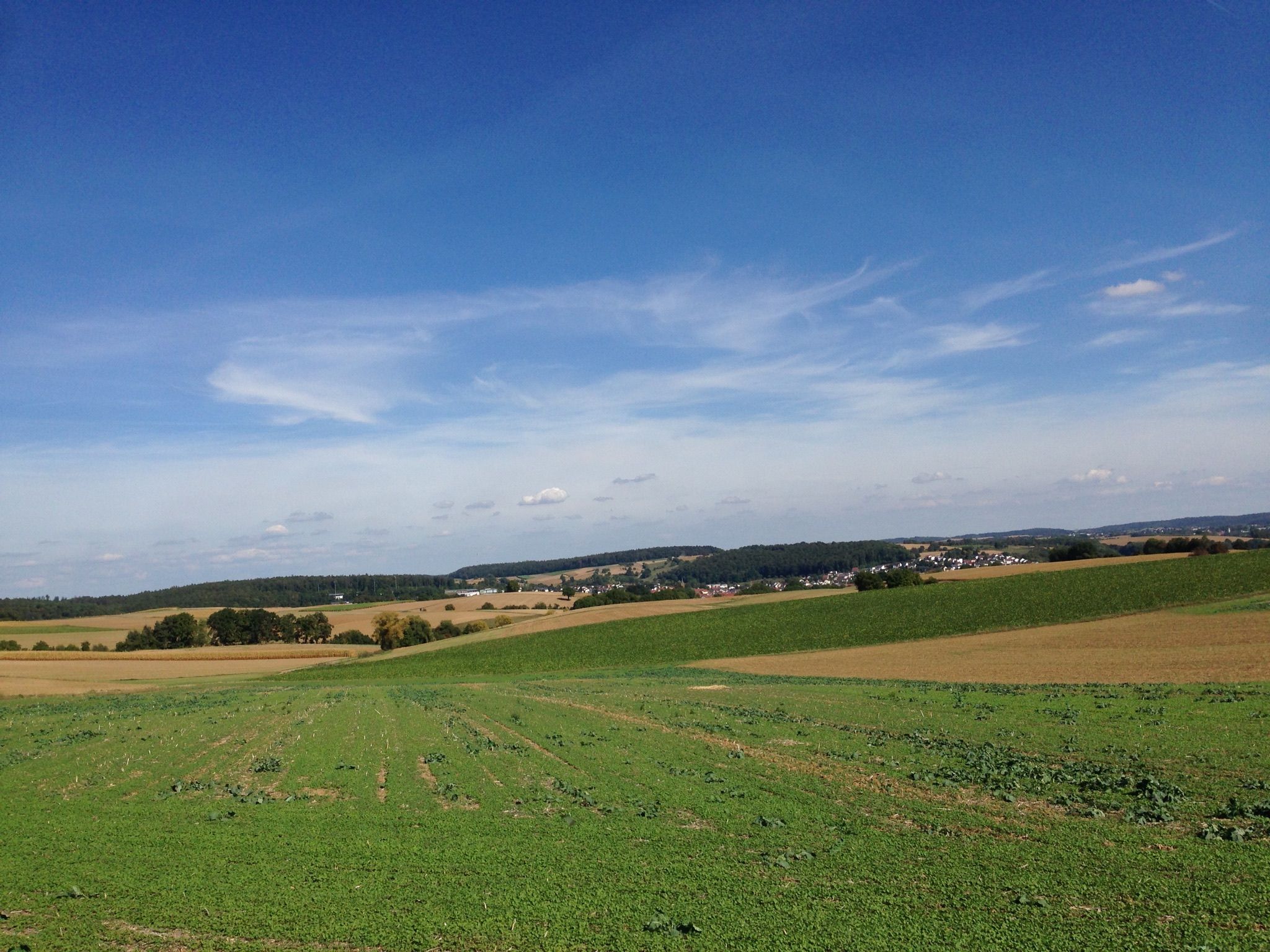 Blick zurück nach Hoffenheim