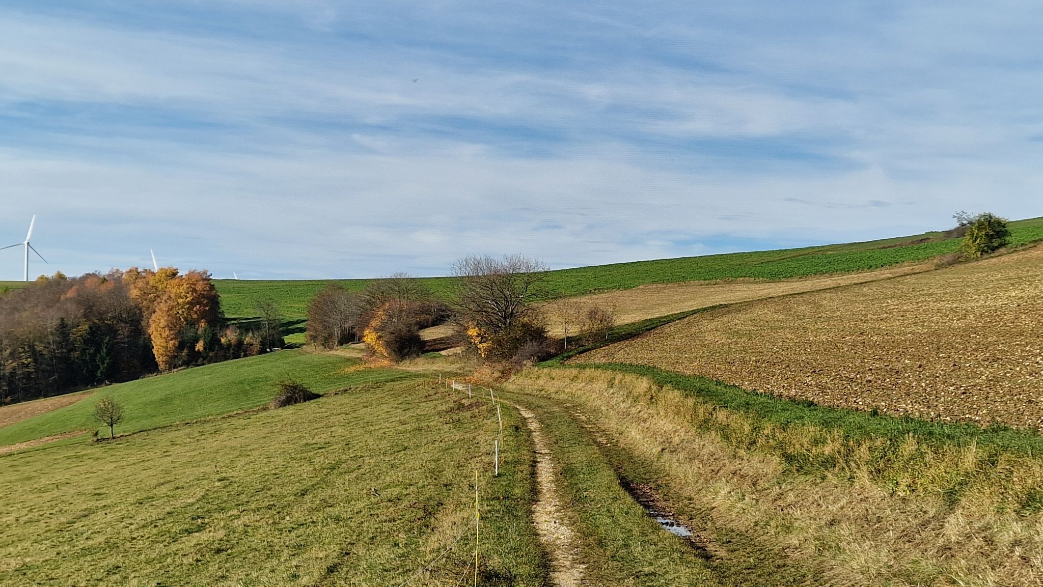 ruhige Wege