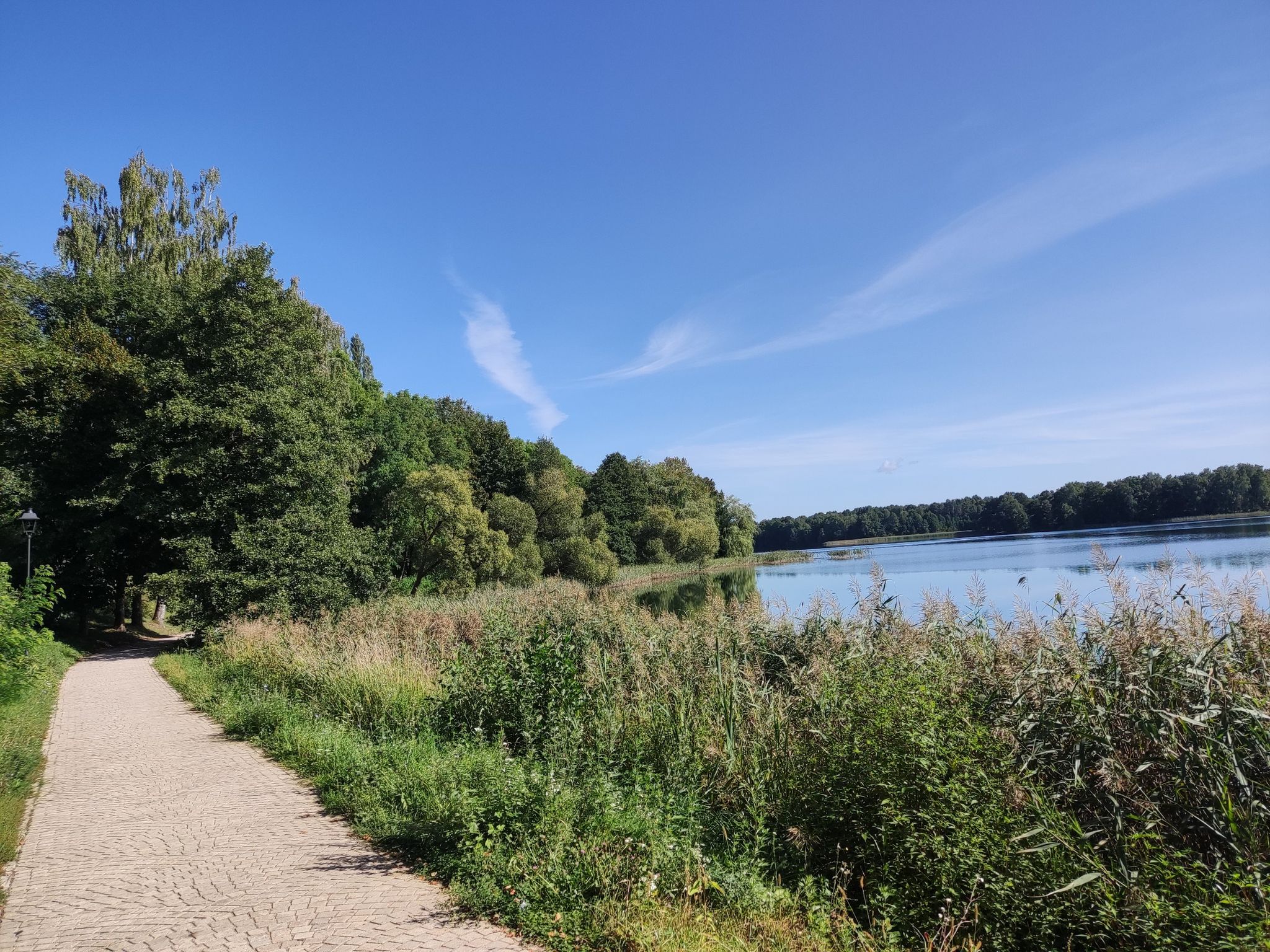 schöner Wanderweg beim See