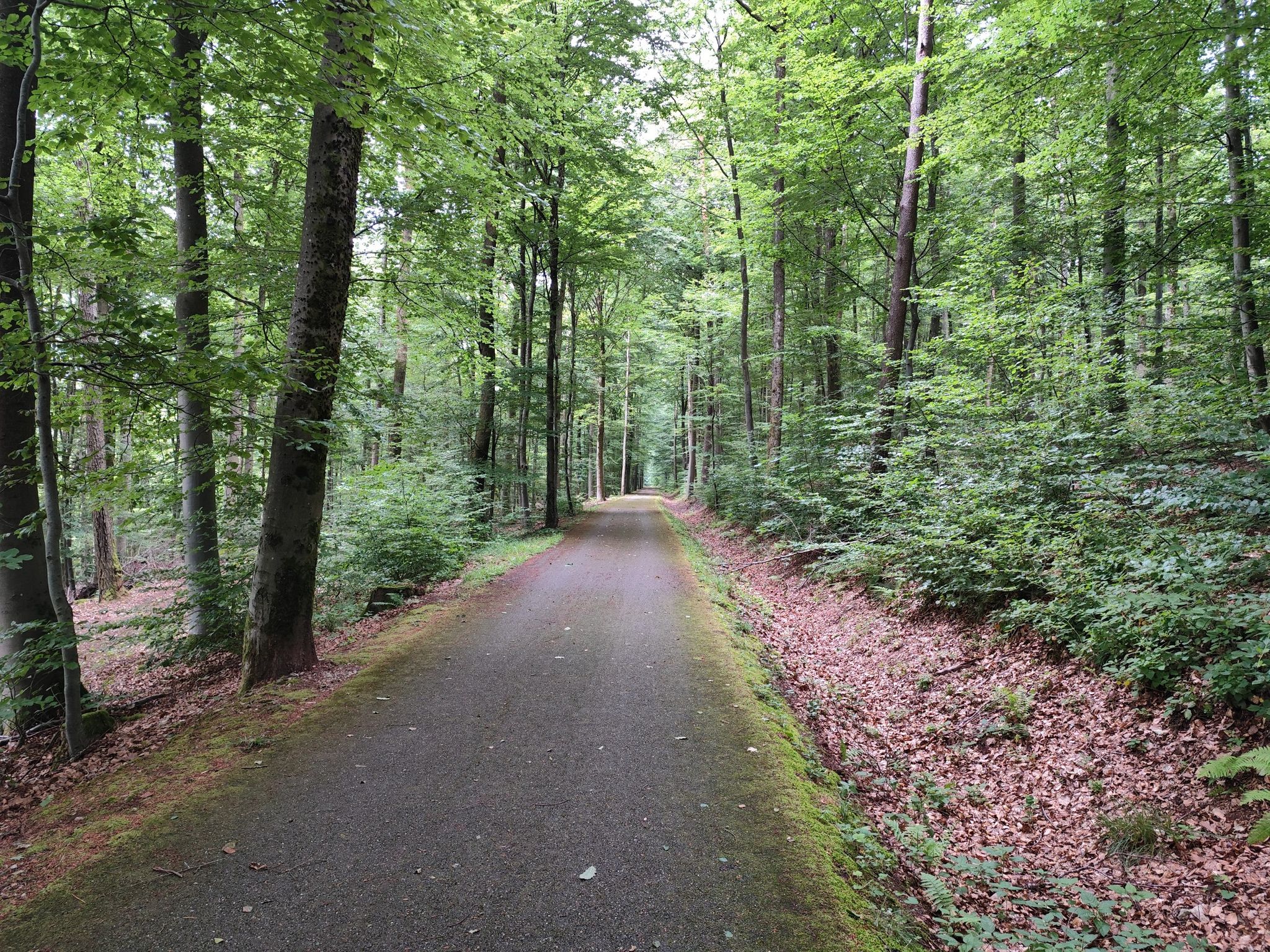 Route Verte in France 🇫🇷