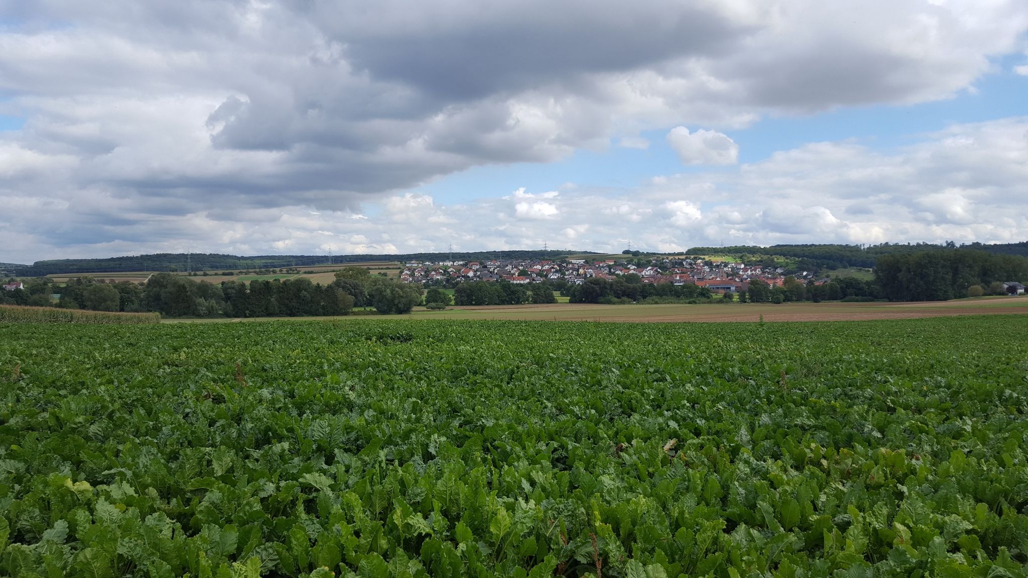 Oppershofen