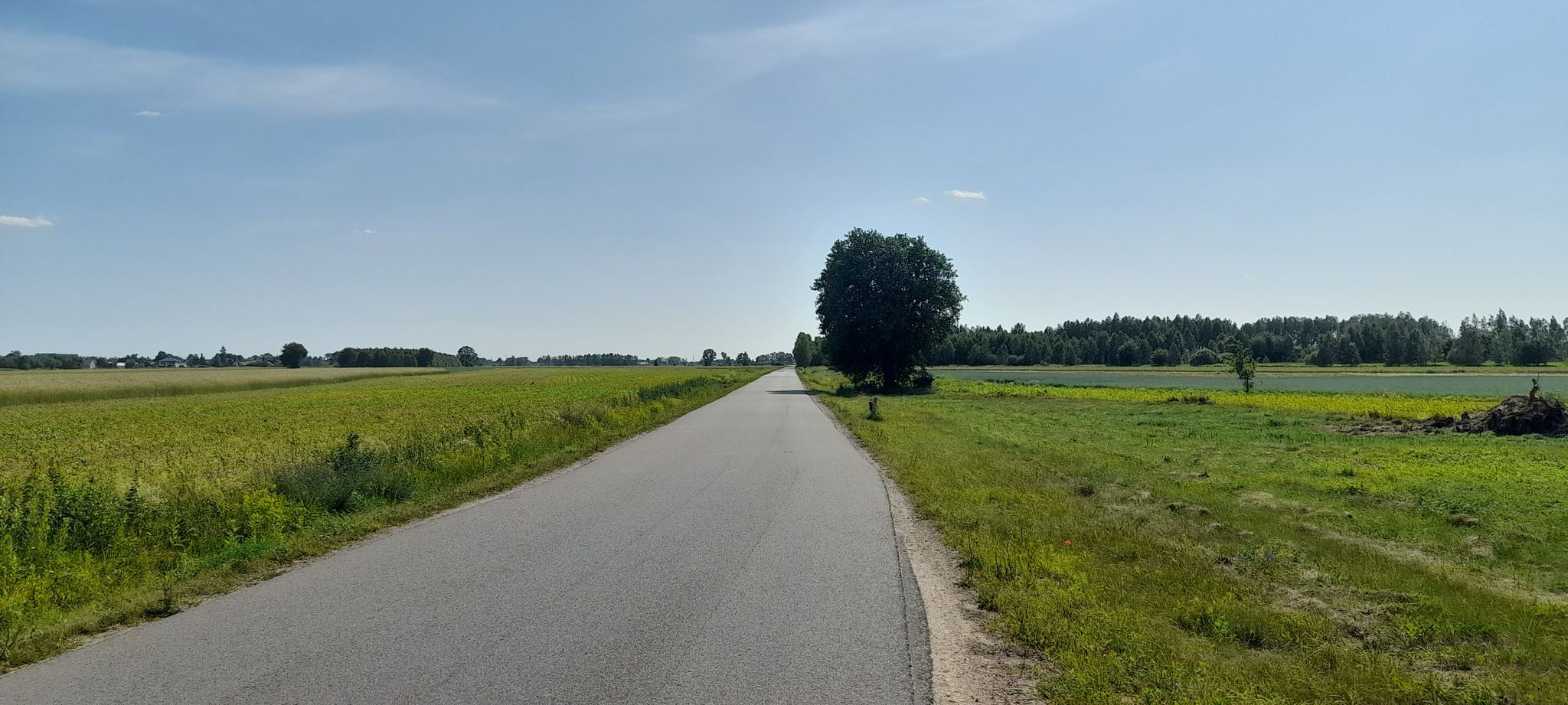 Trakt Napoleoński_i