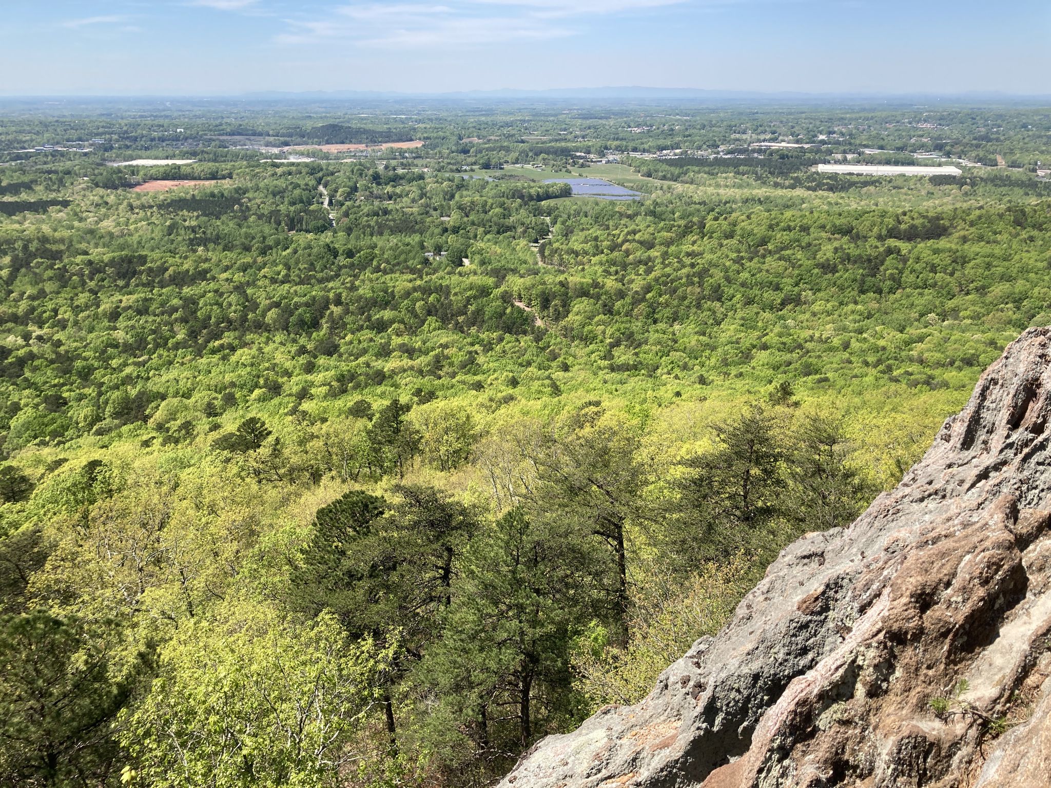 Panoramic view of a lush green forest from a rocky mountain edge. - Pinnacle Trail