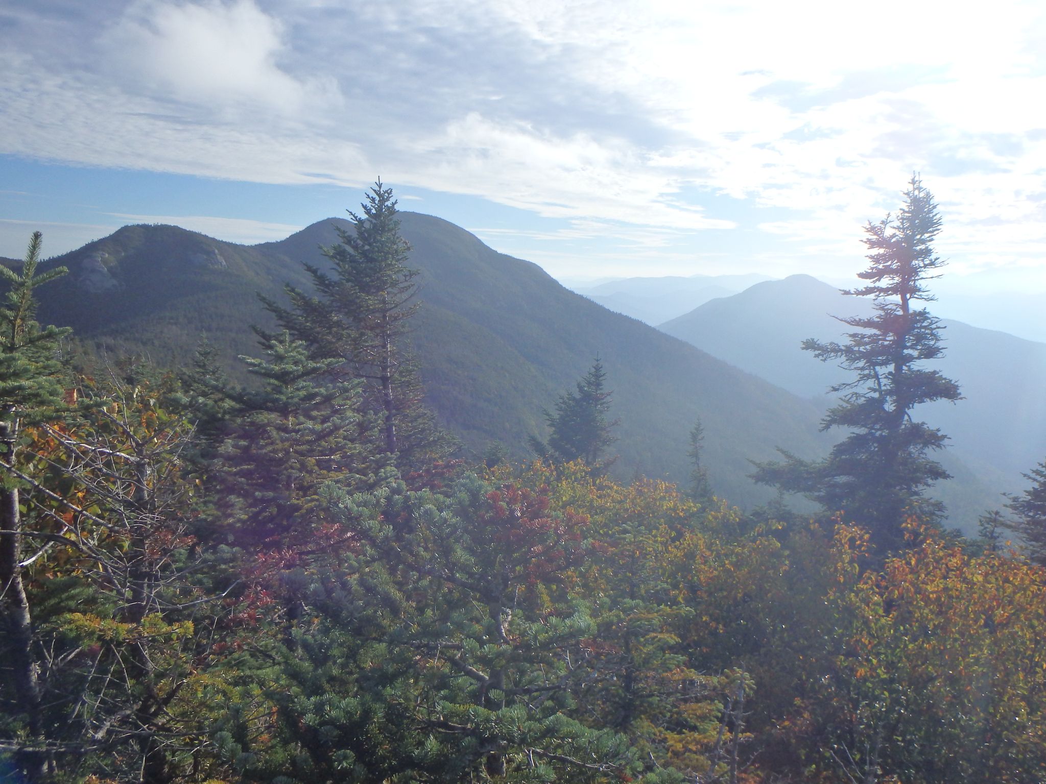 Bright, hazy view of distant mountains through evergreen and autumn trees. - Mount Emmons and Donaldson Mountain