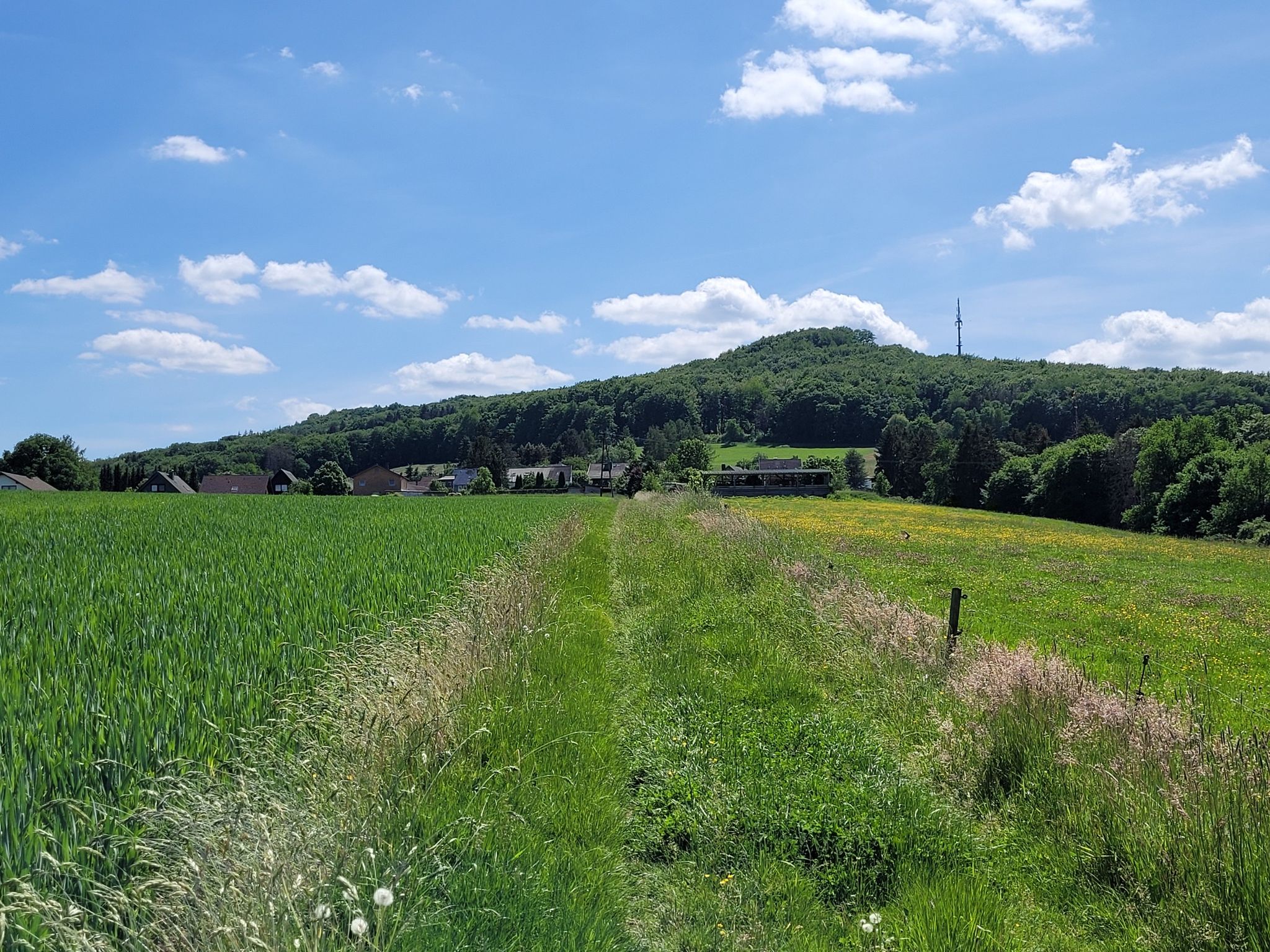 Der Neustädter Ortsteil Eilenberg voraus