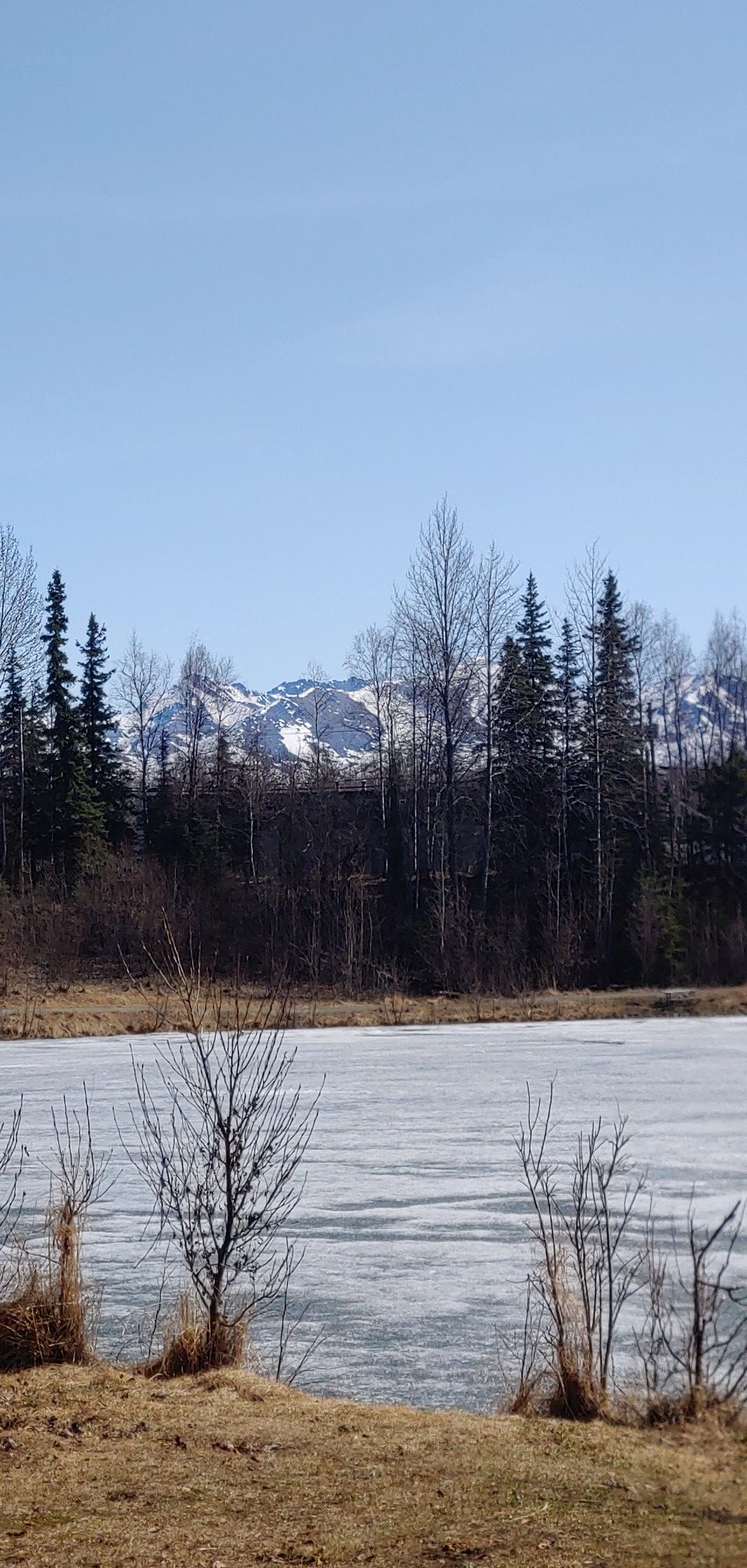 Partially frozen lake with bare trees and snow-capped mountains under a clear sky. - Campbell Creek and Sand Lake Loop