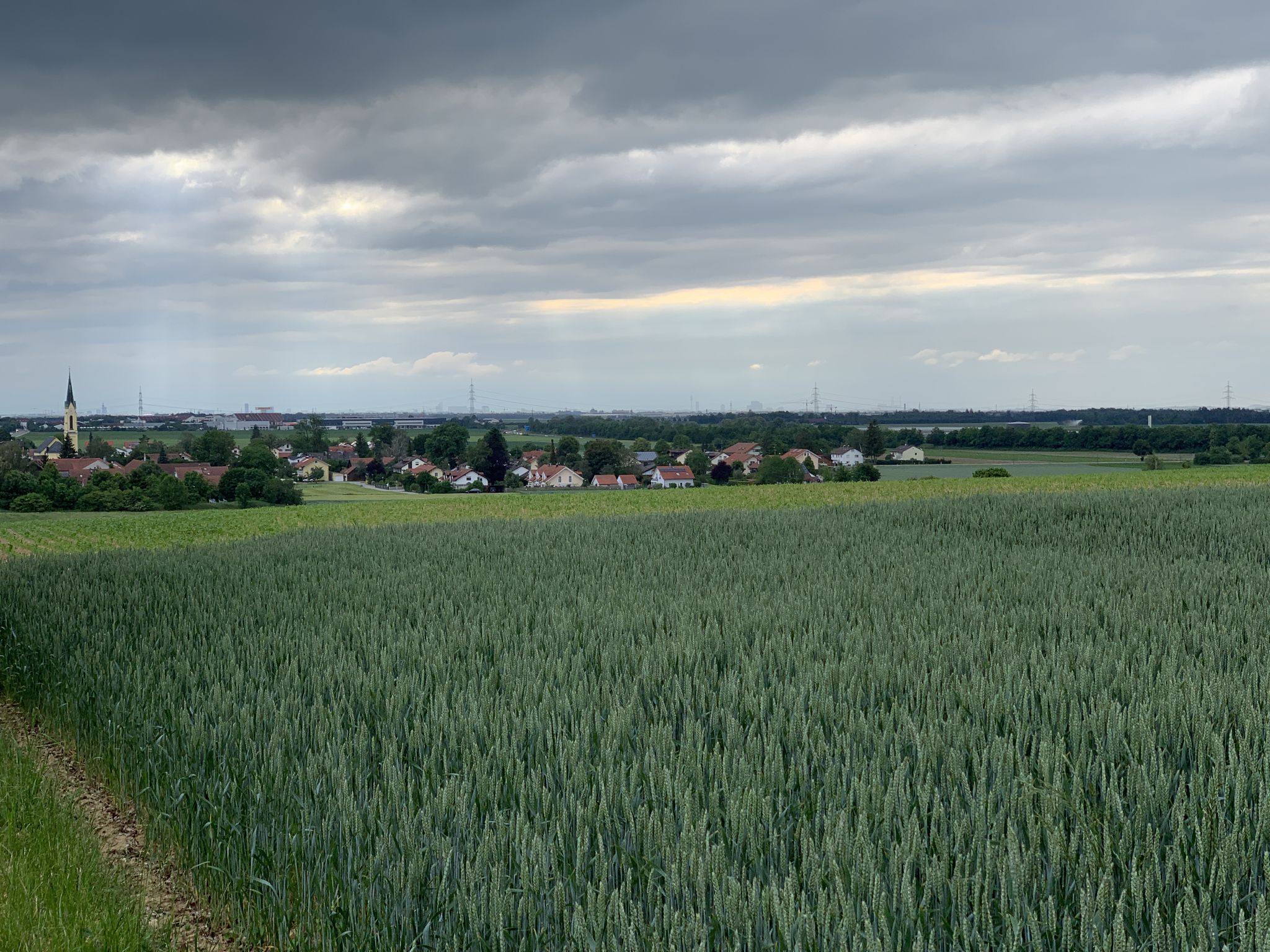 Blick nach München 