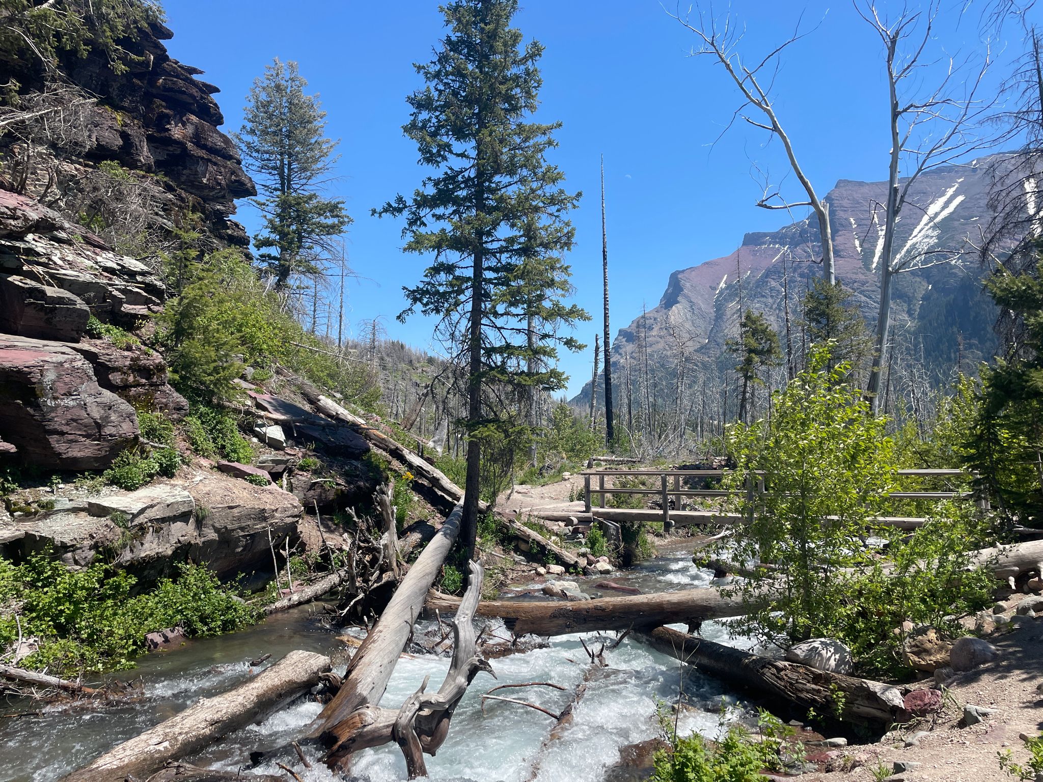 A rushing stream flows over fallen logs with a wooden bridge and mountains. - Sun Point Nature Trail