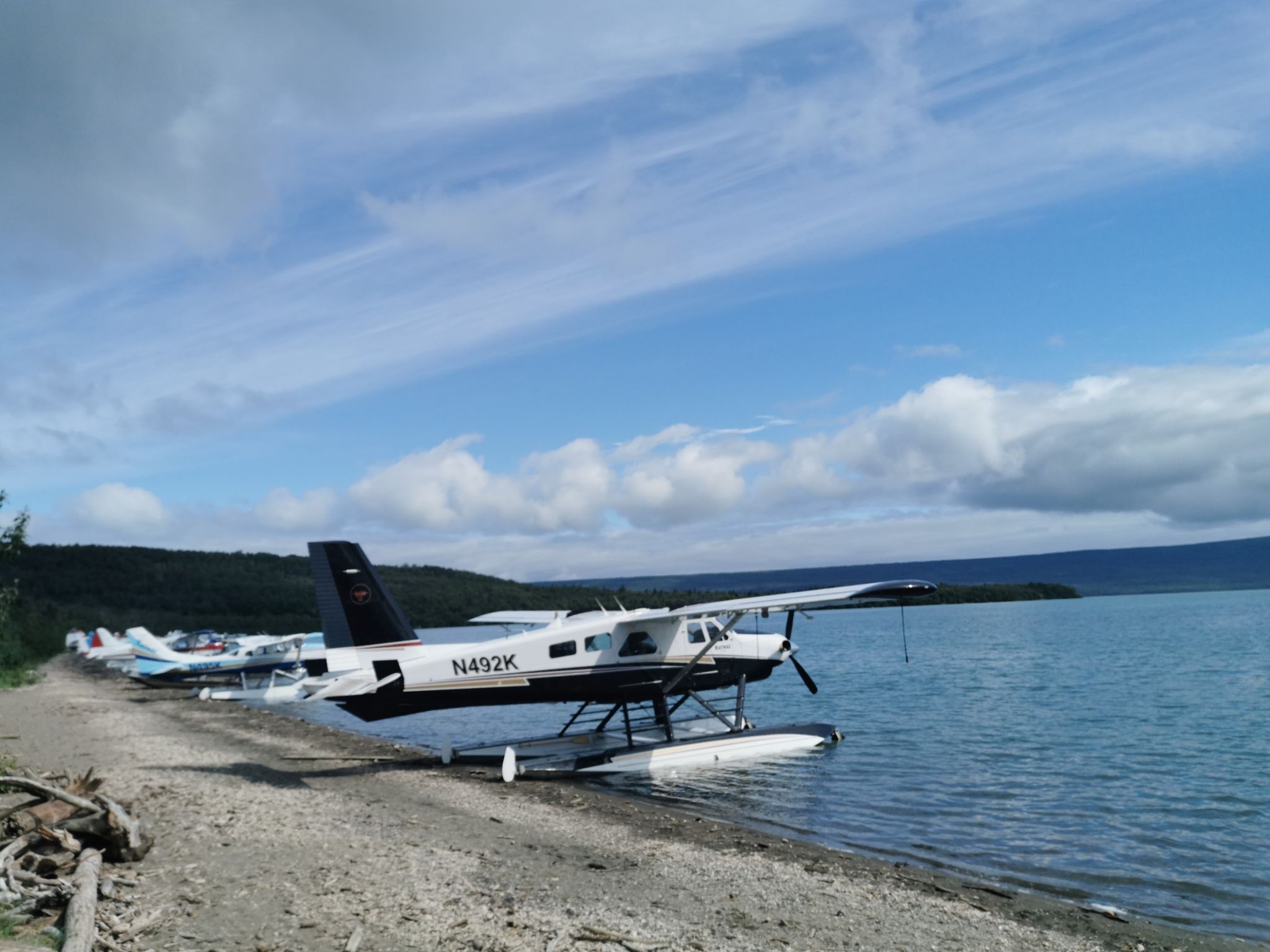 A white and black seaplane rests on a lake shore under a cloudy sky. - Brooks Falls Trail