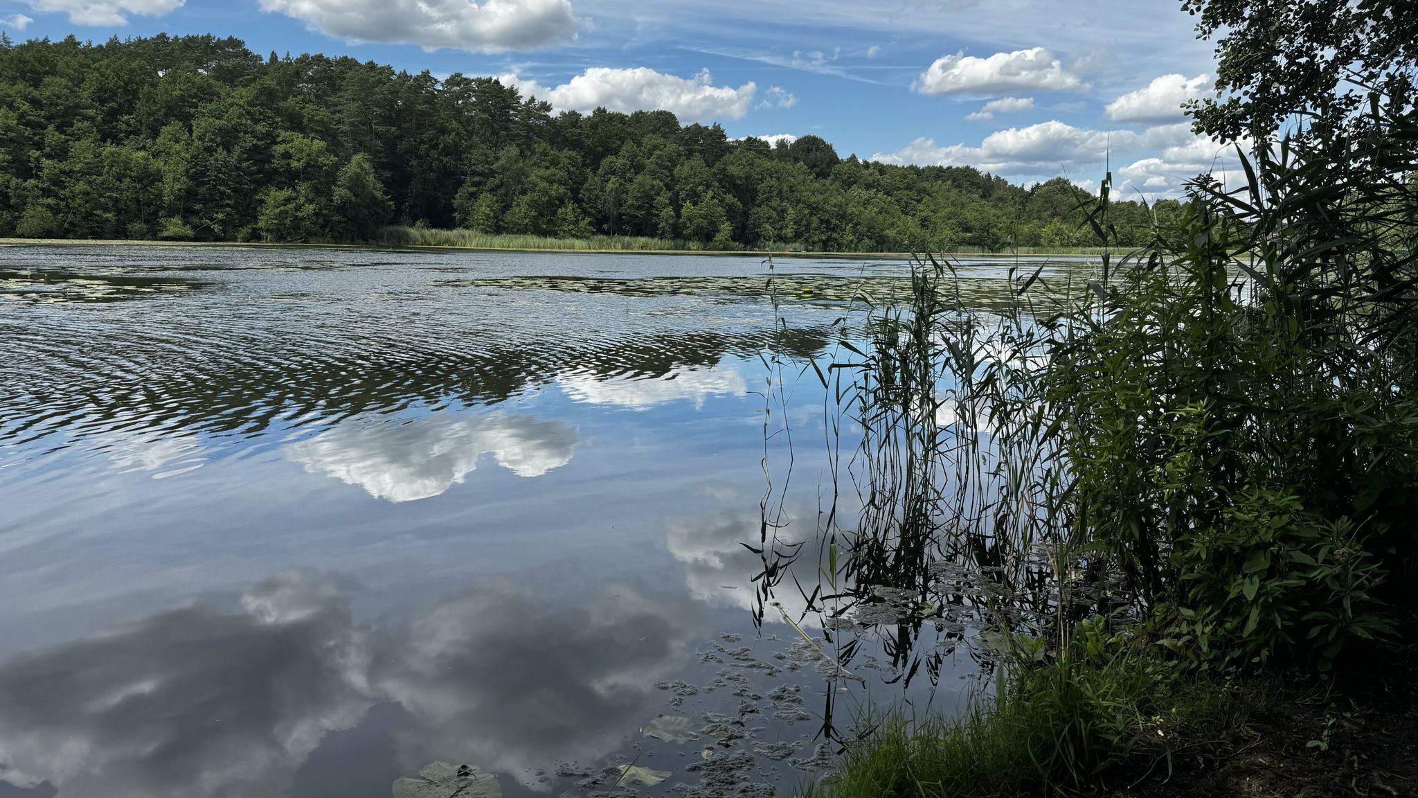 Strehlesee