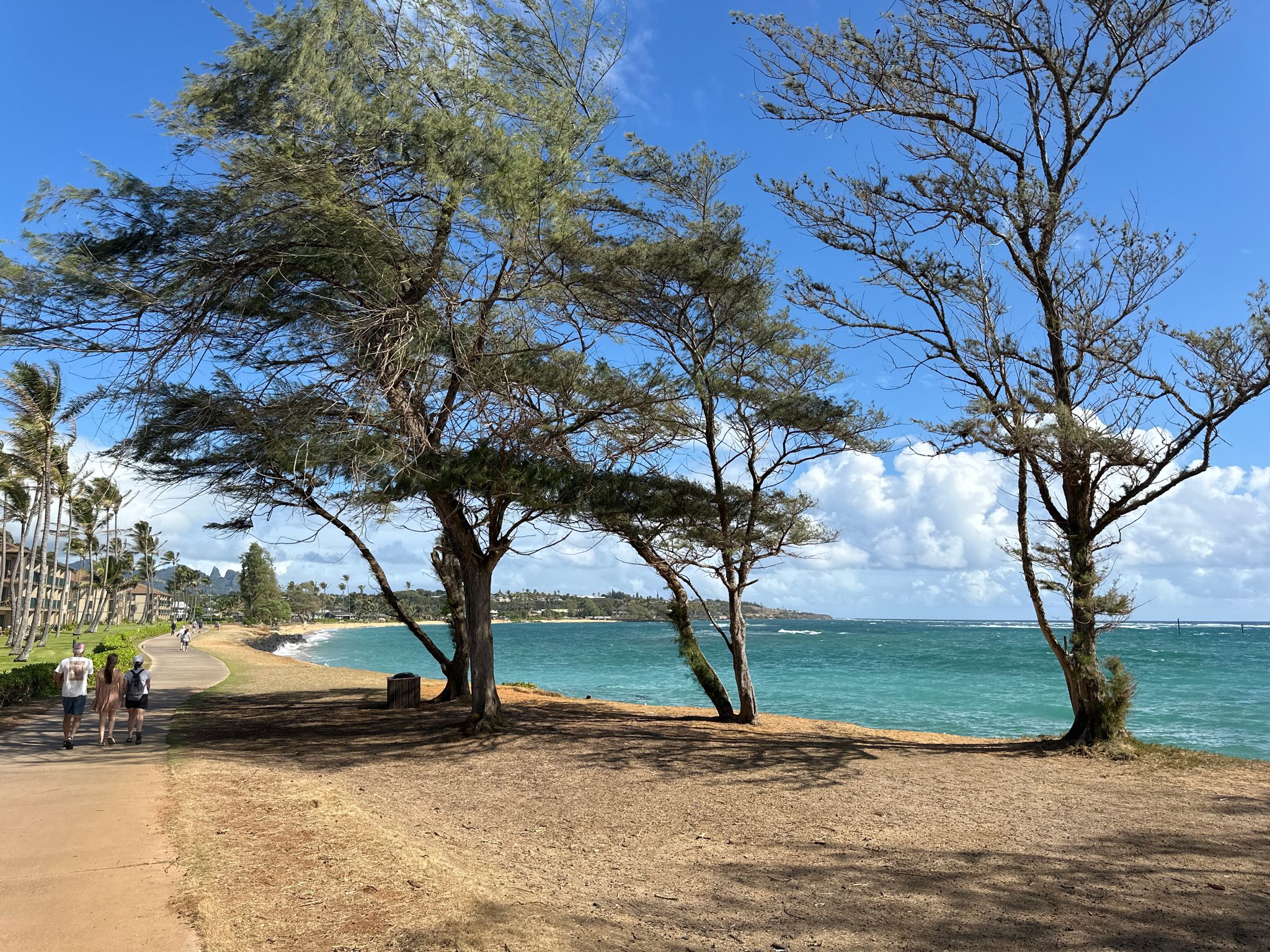 People walk on a paved path beside tall trees and a bright blue ocean. - Kapaa Bike Path – Kapaa coastal path loop from Kapaa