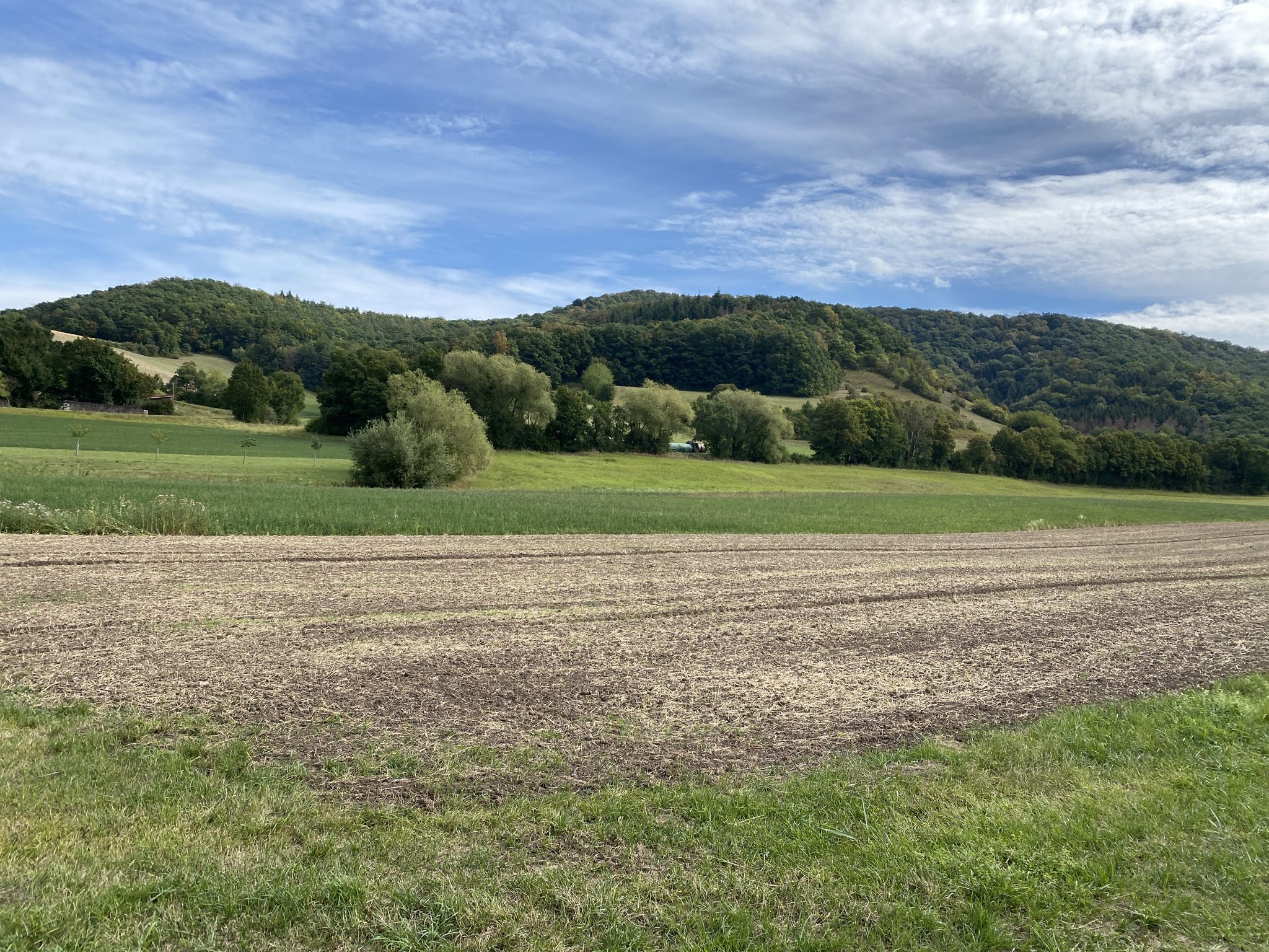 Was heißt sanft? Immerhin muss ich hinauf auf den Großen Knetzberg