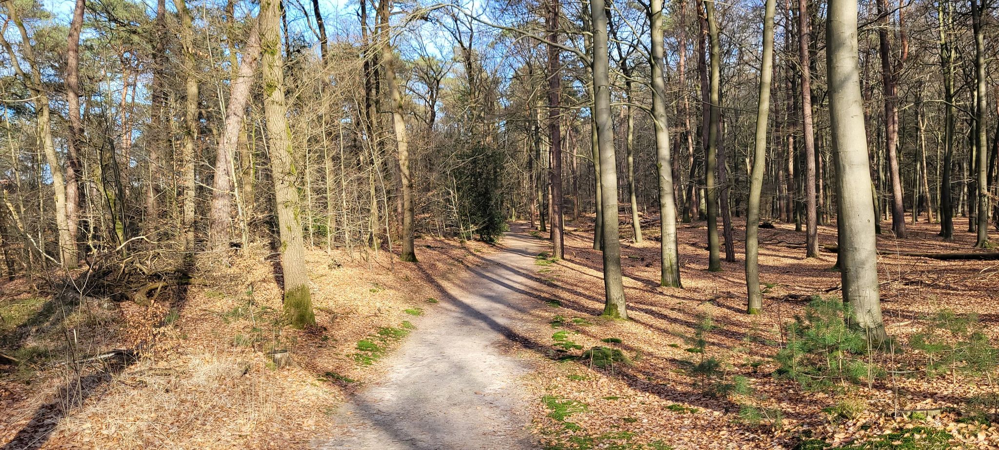 pad in  bos langs zo te horen de A12