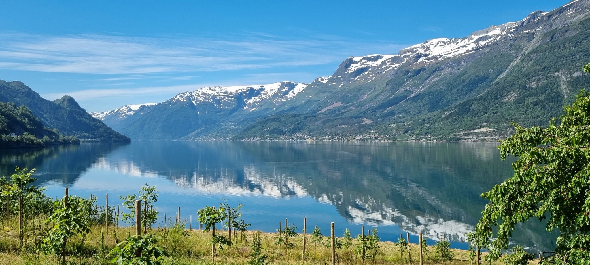 Hardangerfjord